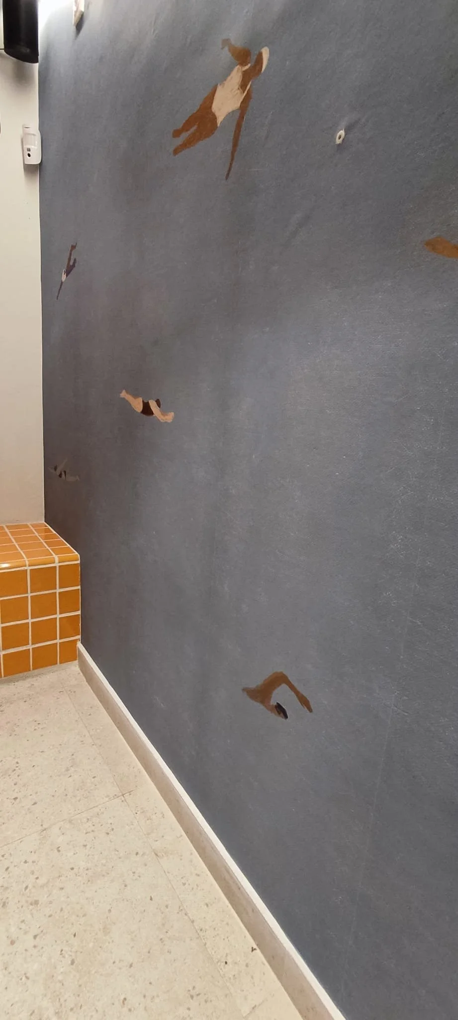 WhatsApp Image 2025-09-30 at 16.10.41.jpeg