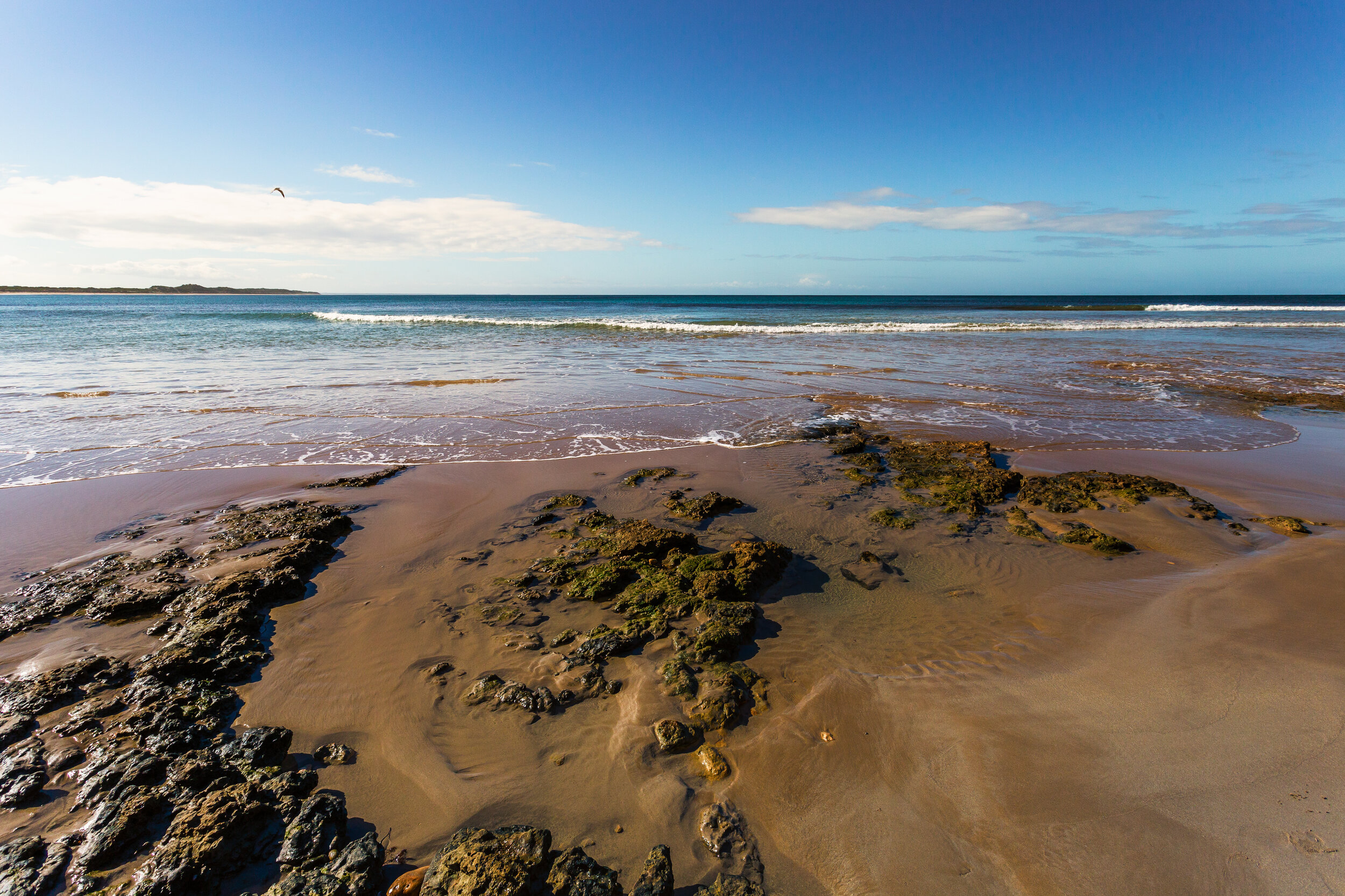 5DM30240-Edit.jpg