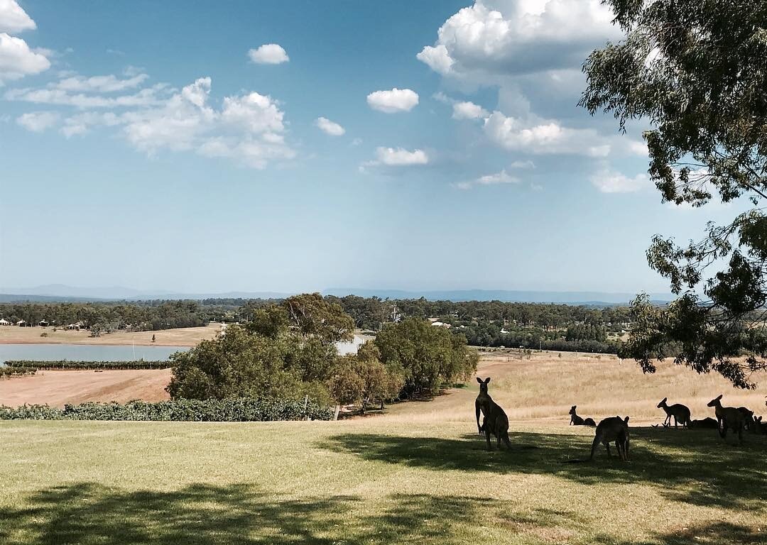 Just casually chillin' and enjoying breathtaking views! Amazing capture @simpleesydney