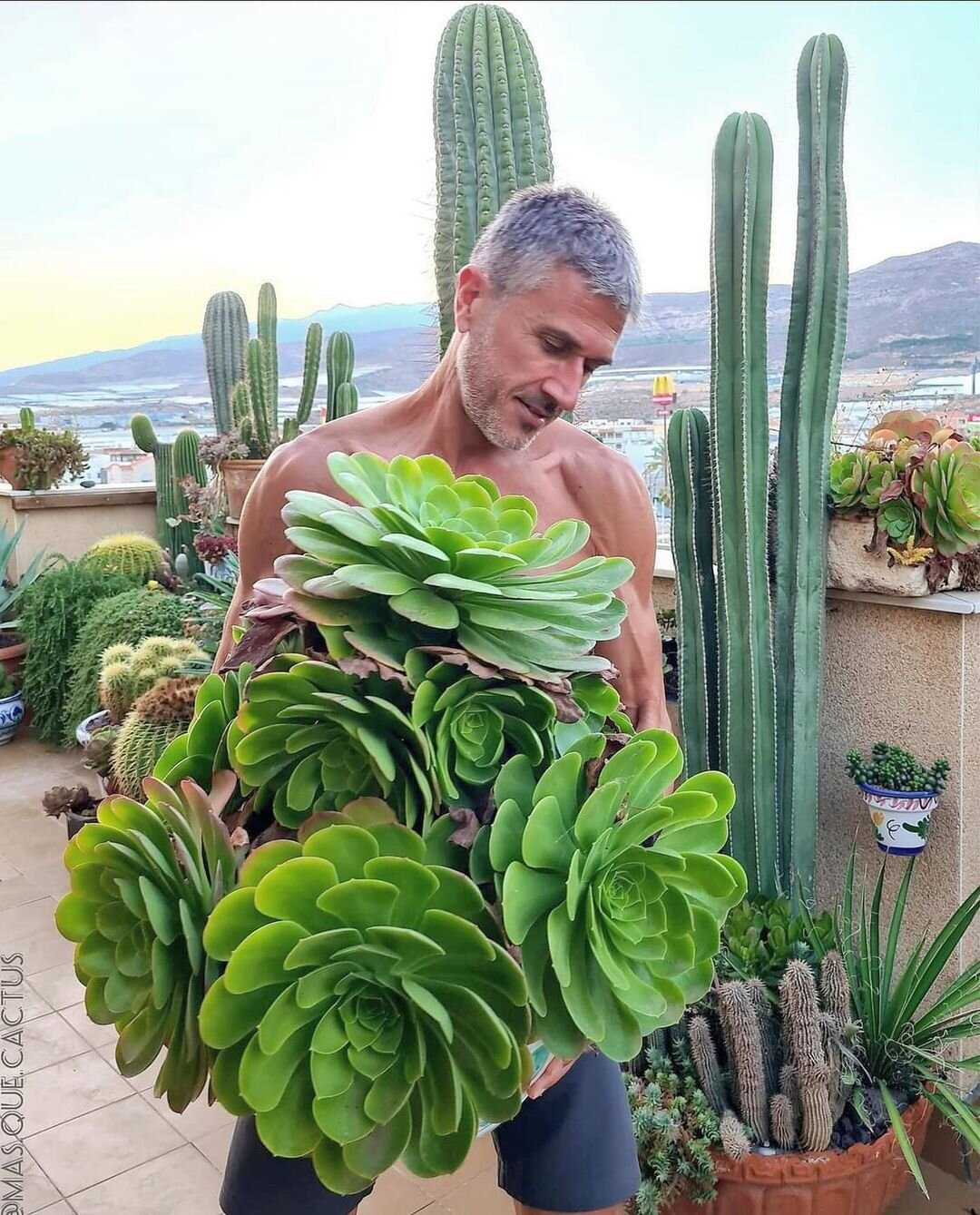 We're featuring Crazy Plant People from all over the world. Get involved, follow us and tag @crazyplantpeople in your portrait with your favourite plants! Don't forget to add a little story about yourself and why you love plants!
--
Featuring @mas.qu