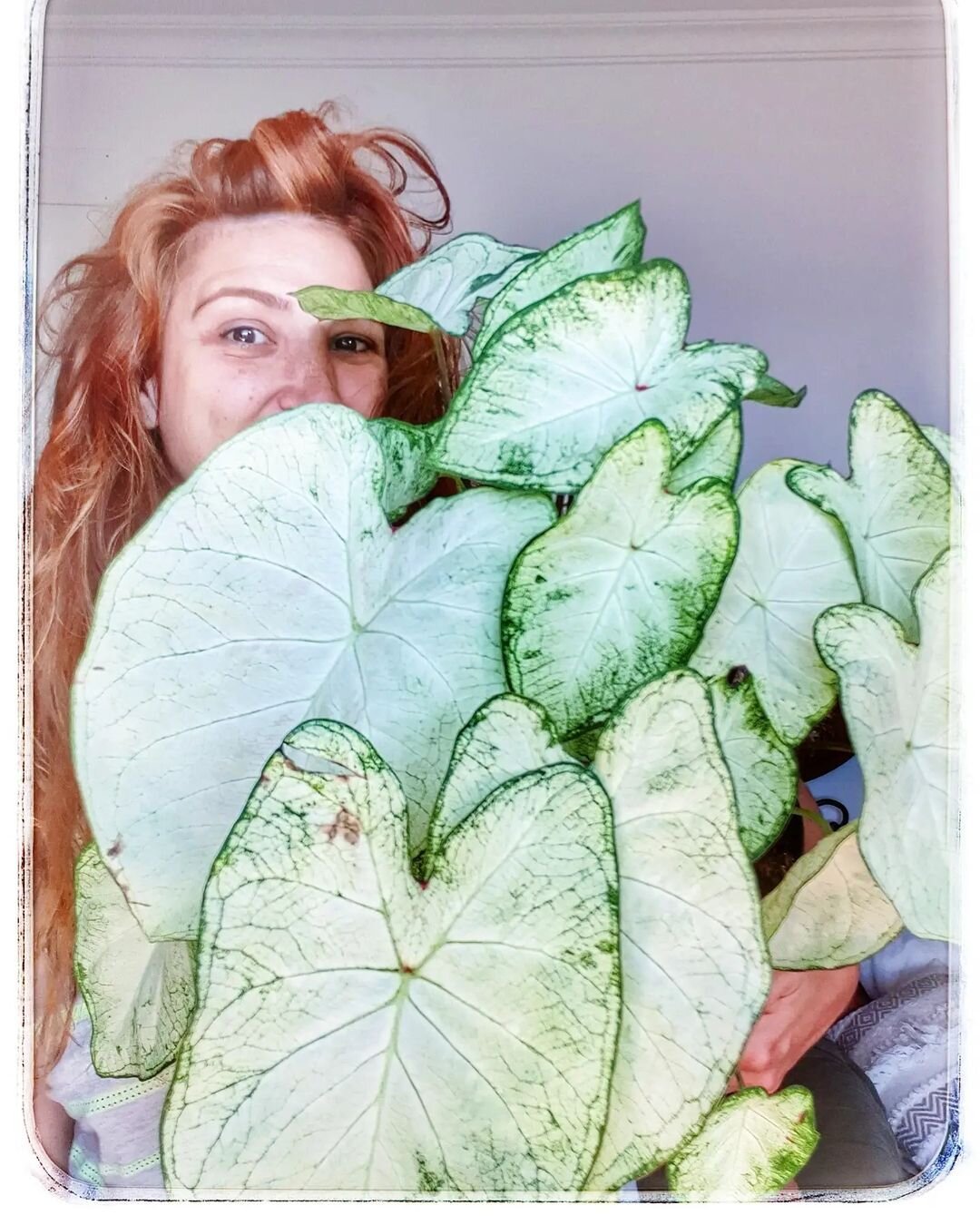 We're featuring Crazy Plant People from all over the world. Get involved, follow us and tag @crazyplantpeople in your portrait with your favourite plants! Don't forget to add a little story about yourself and why you love plants!
--
Featuring @chiky_