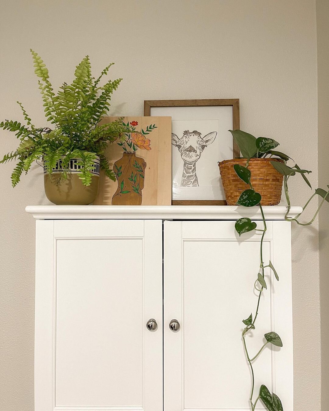 Join us on our brand new platform and get connected with your community. Check out the link in our bio.

🍃 We feature the best of #indoorplantsdecor 😍 ! Follow us for inspiration and to spread the love of beautiful Indoor Plant Decor 🌿
--
Featurin