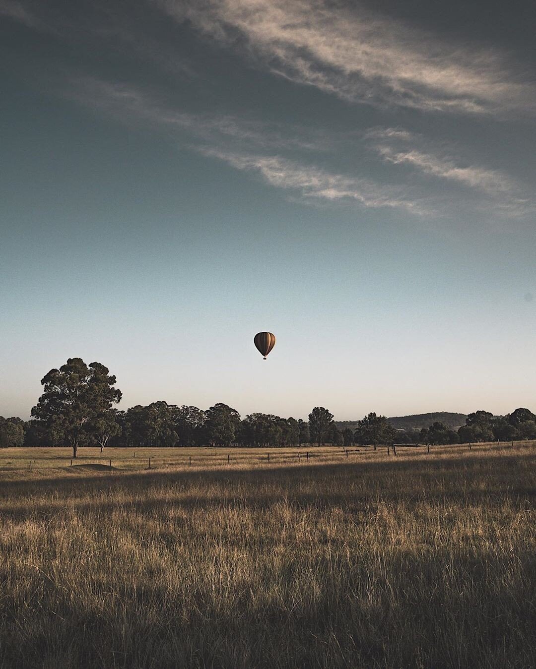 🍃 We feature the best of #huntervalleymedia 😍 ! Follow us for inspiration and to spread the love of the beautiful region.🌿 --
Featuring @paul_donnadieu