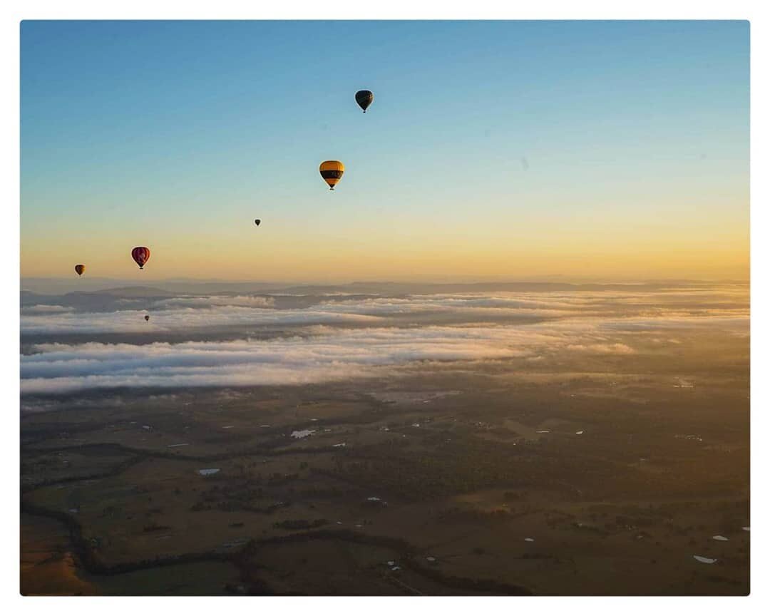 🍃 We feature the best of #huntervalleymedia 😍 ! Follow us for inspiration and to spread the love of the beautiful region.🌿 --
Featuring @jamied9486