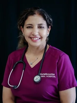 March MentorVet Mentor of the Month: Chirjeev Kaur, DVM