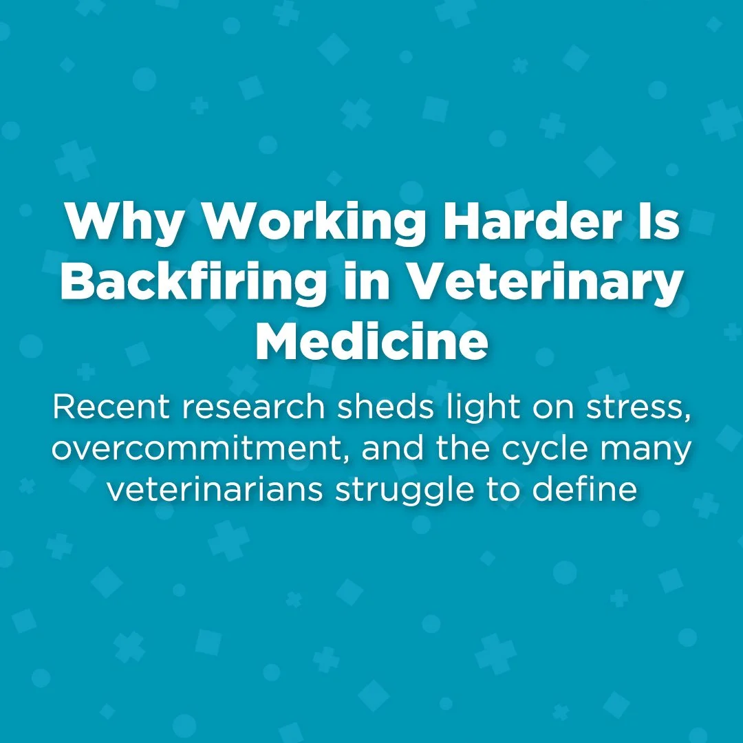Why Working Harder Is Backfiring in Veterinary Medicine