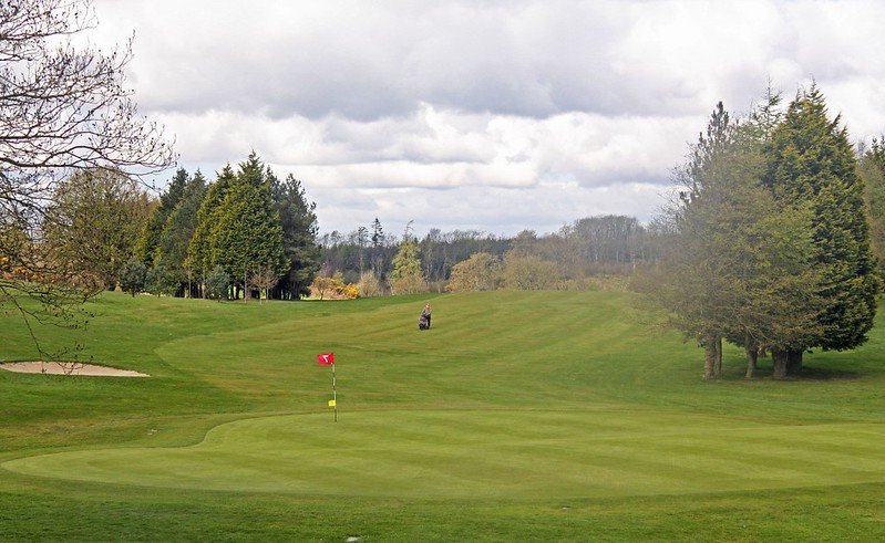 pic1.jpg