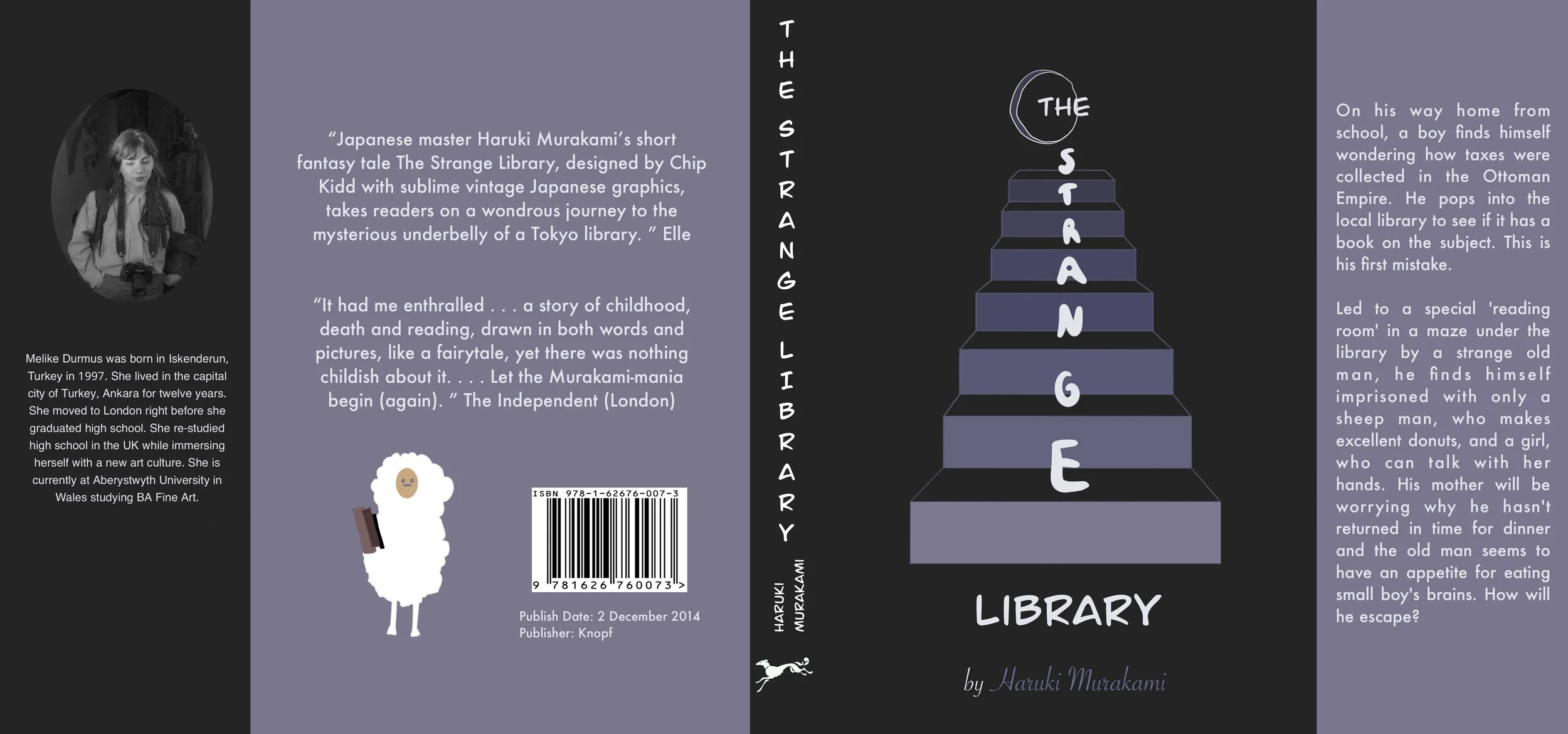 Book Cover for Strange Library