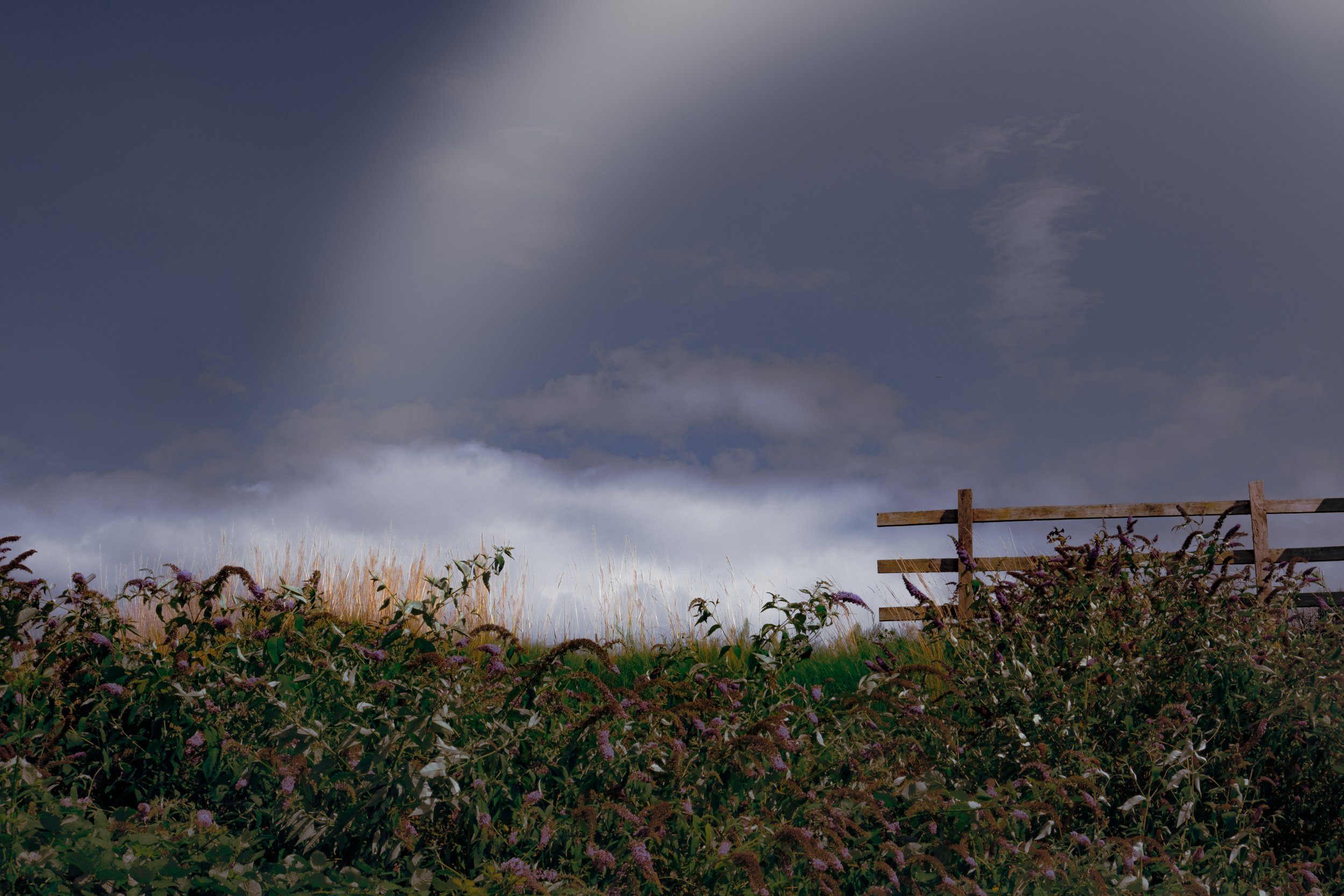 field in shrewsbury.jpg