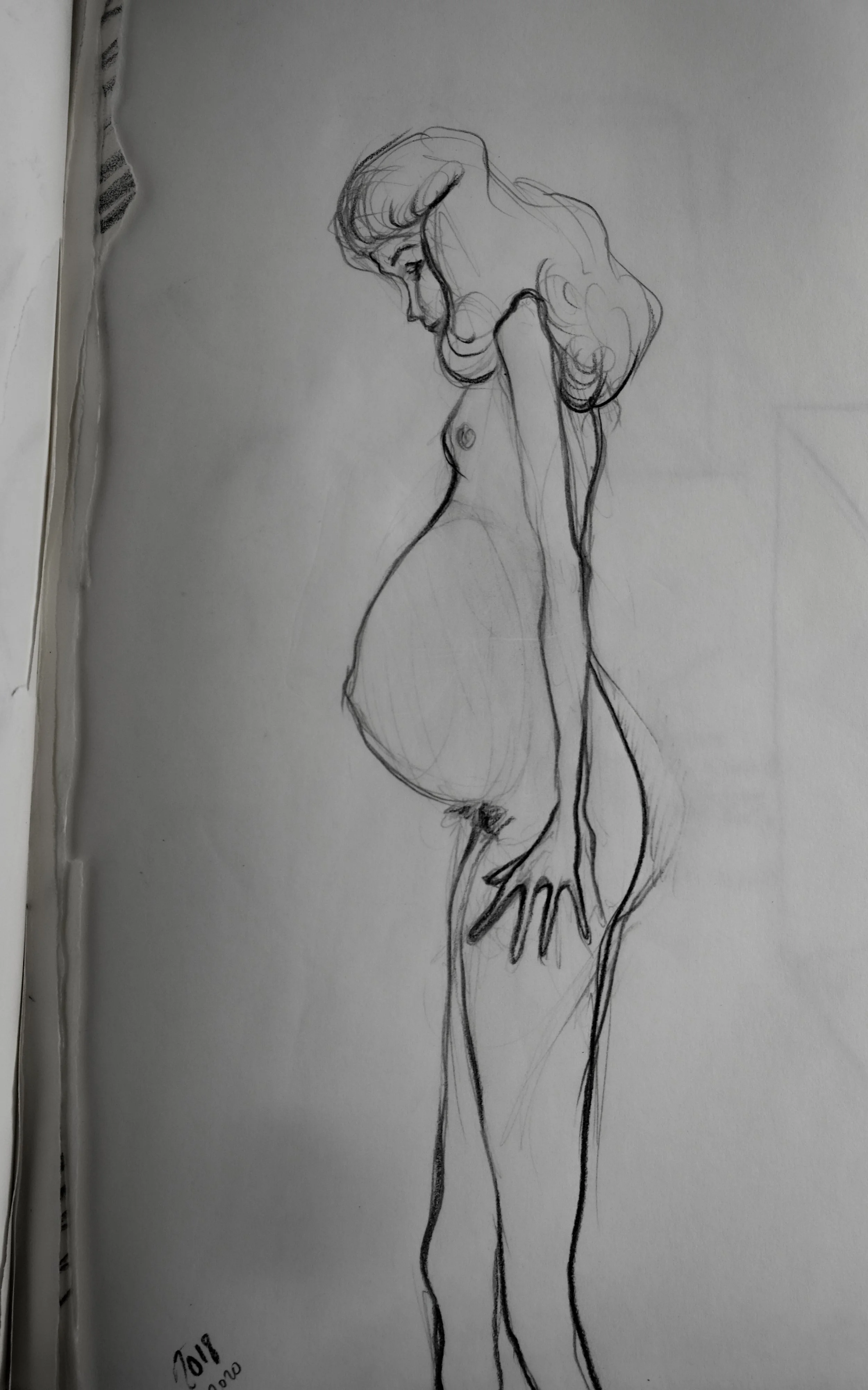 DSCF0129.jpg