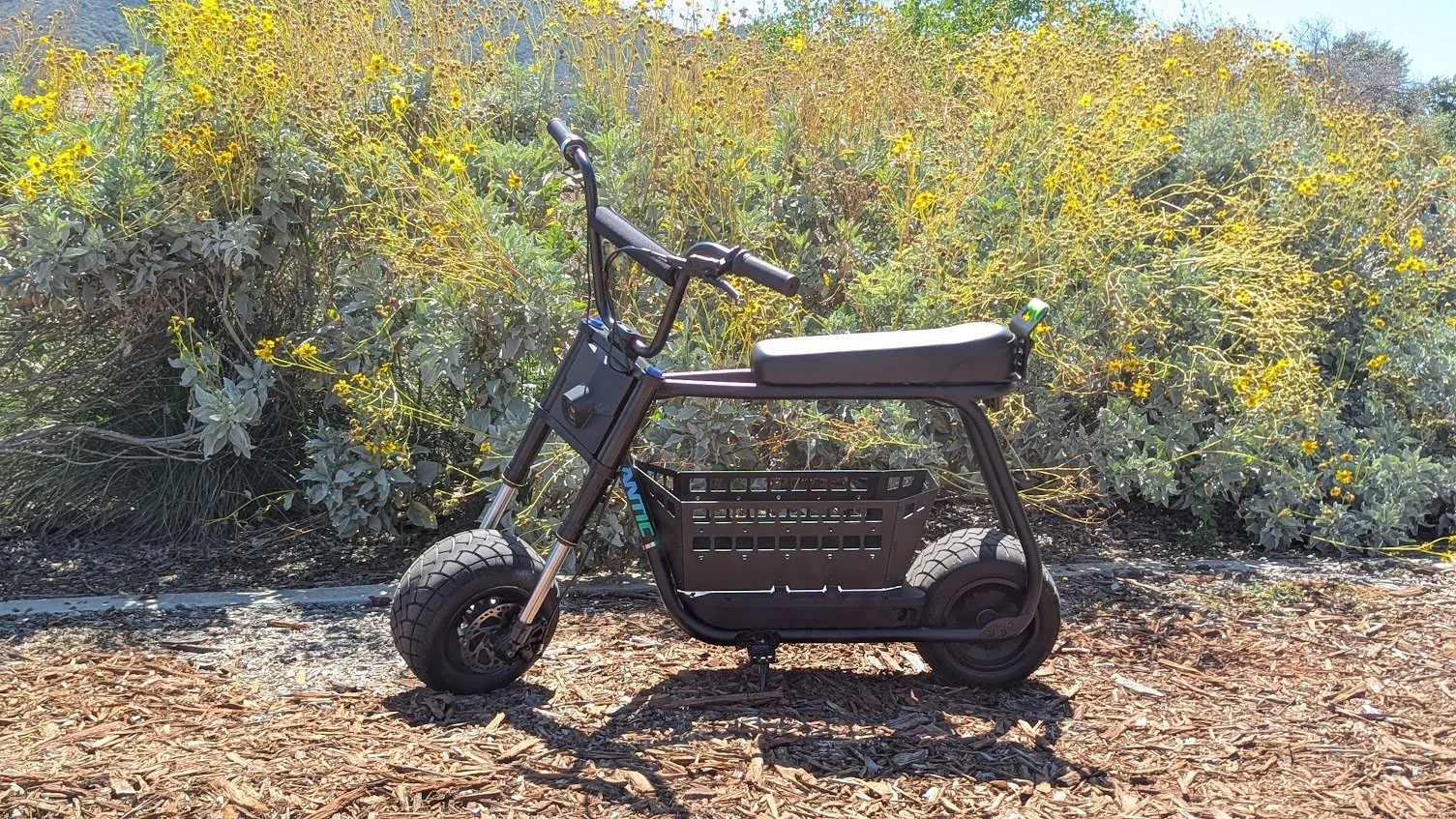 antic-bike-cargo-basket-carrier.jpg