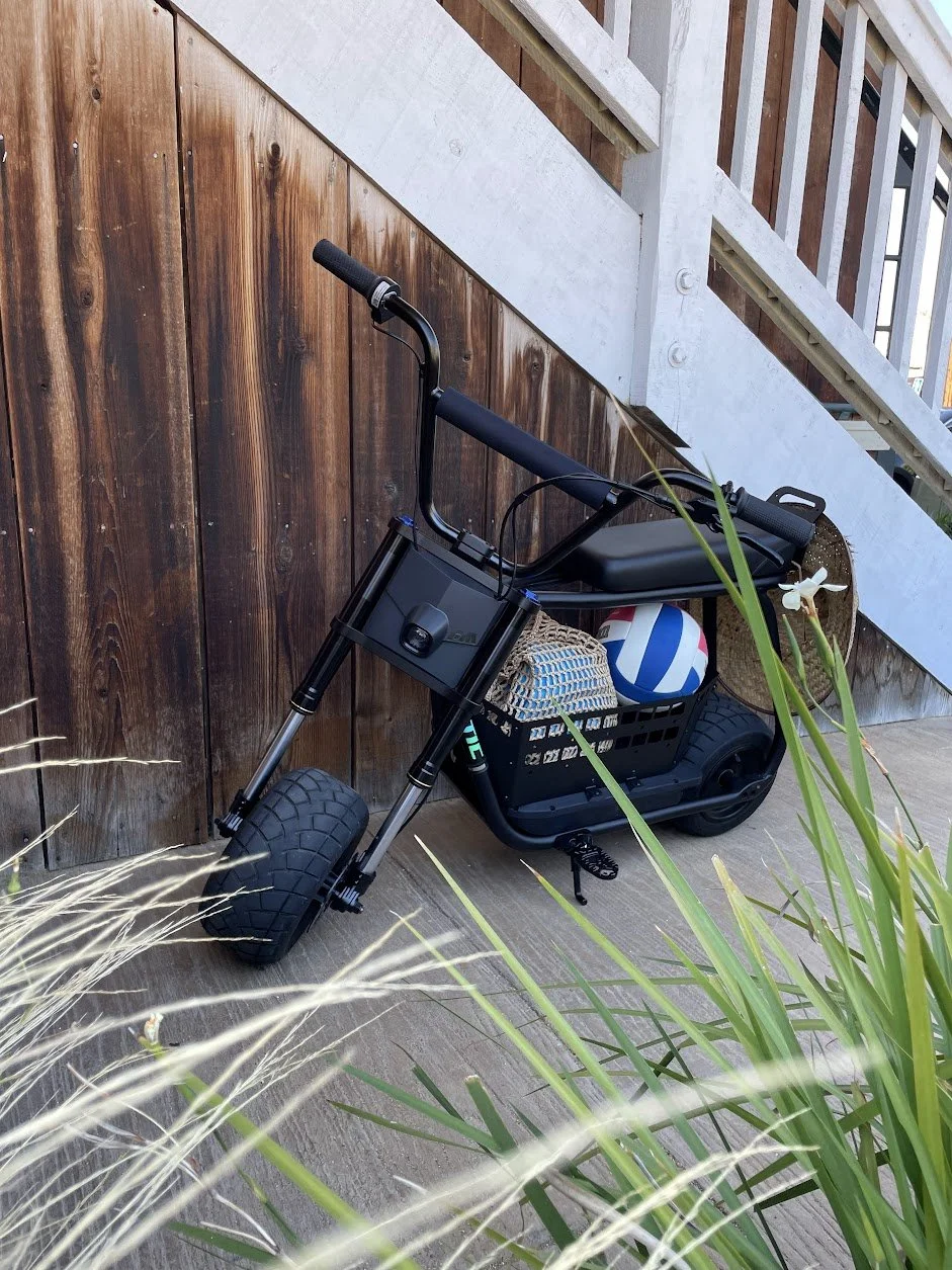 antic-bike-beach-basket.jpg