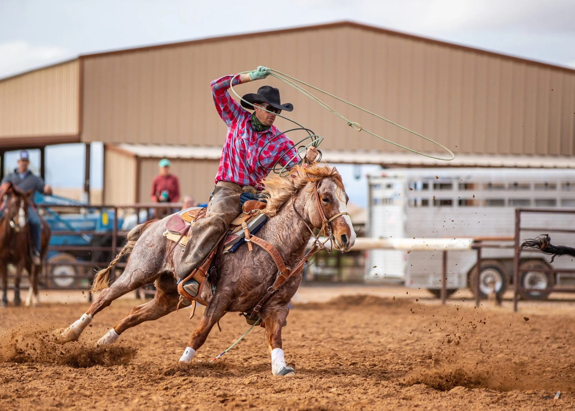 Heel Horses — Parker Equine