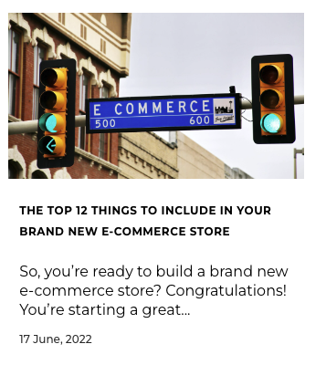 Blog Article: The top 12 things to include in your brand new e-commerce store 