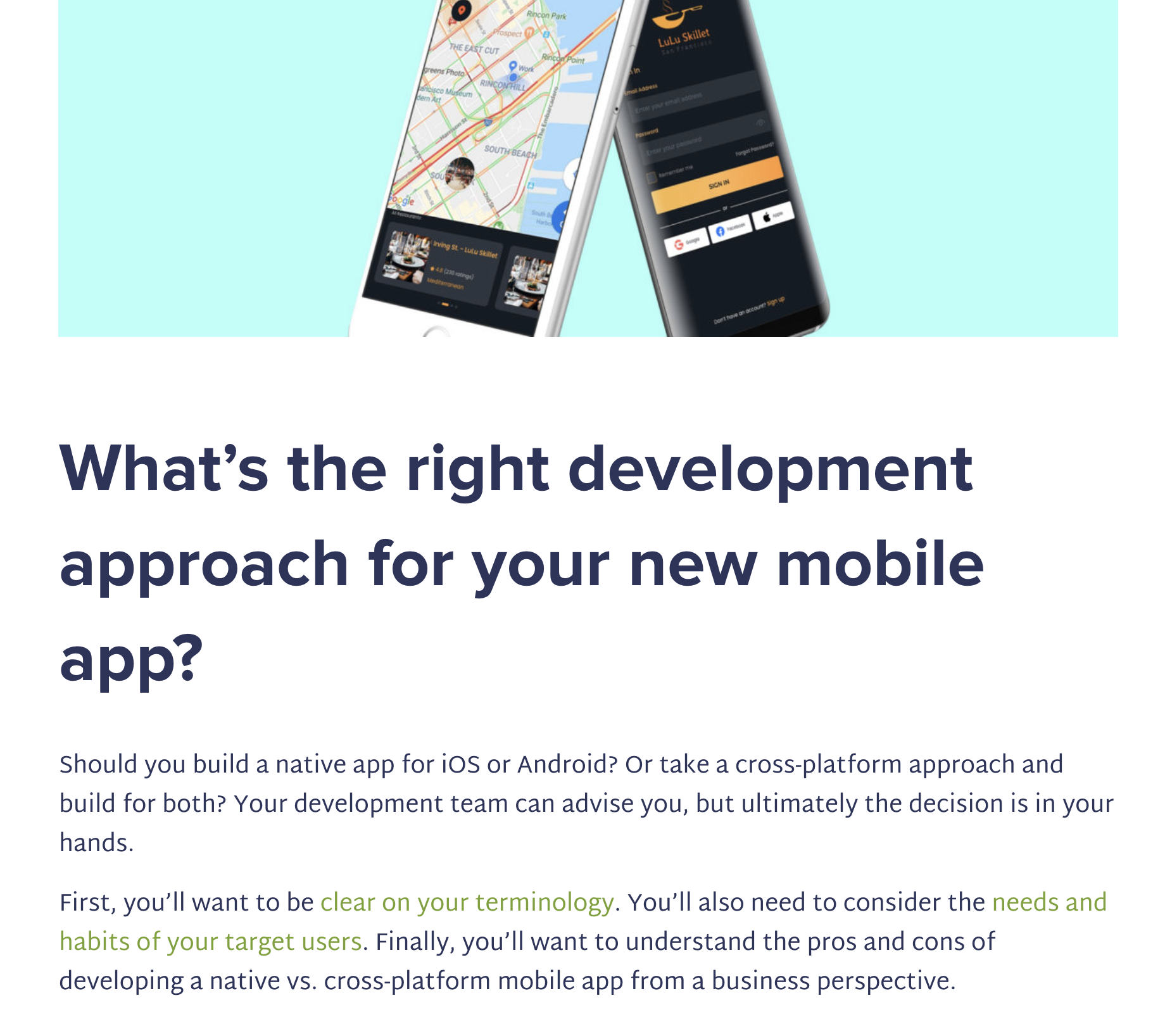 Blog Article: Native vs. cross-platform mobile app