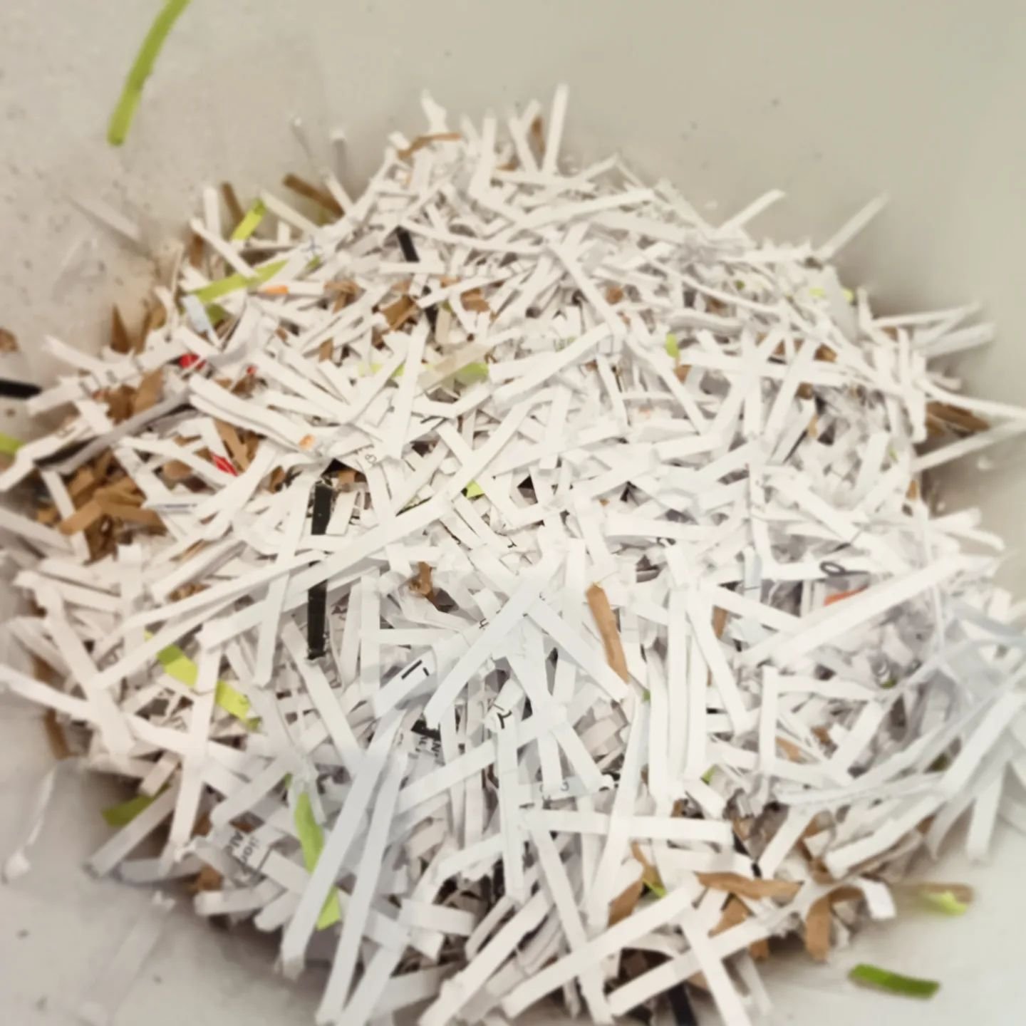 Waste paper from @frothtech HQ is shredded on-site before going into the organics bucket along with coffee grounds, paper towels, toilet rolls and food scraps. With the help of a thriving population of Eisenia fetida (#tigerworms) from our mates at @