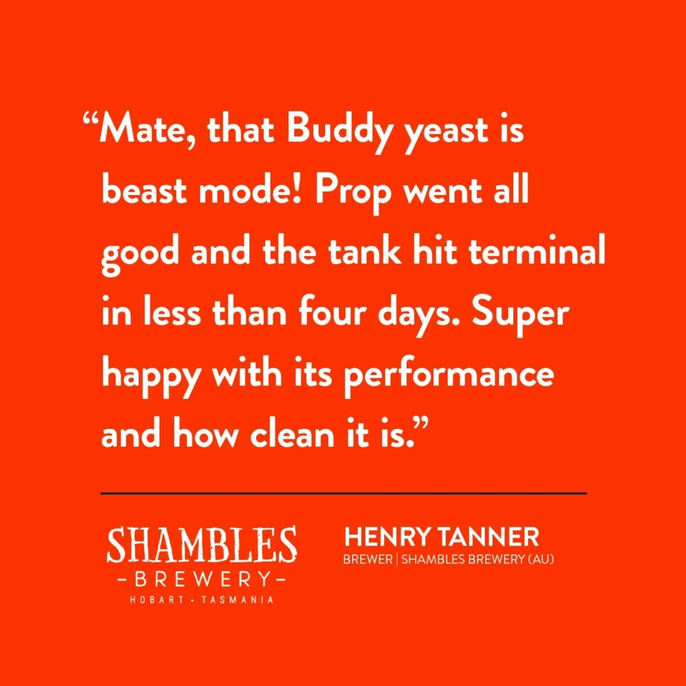 #STRAYA 🦘 Awesome feedback from over the ditch at @shamblesbrewery in Tasmania! Brewer Henry as knocked through some tasty brewskis including a Summer Ale and an IPA with our American Ale strain: Buddy 🤙 Our international express courier service me