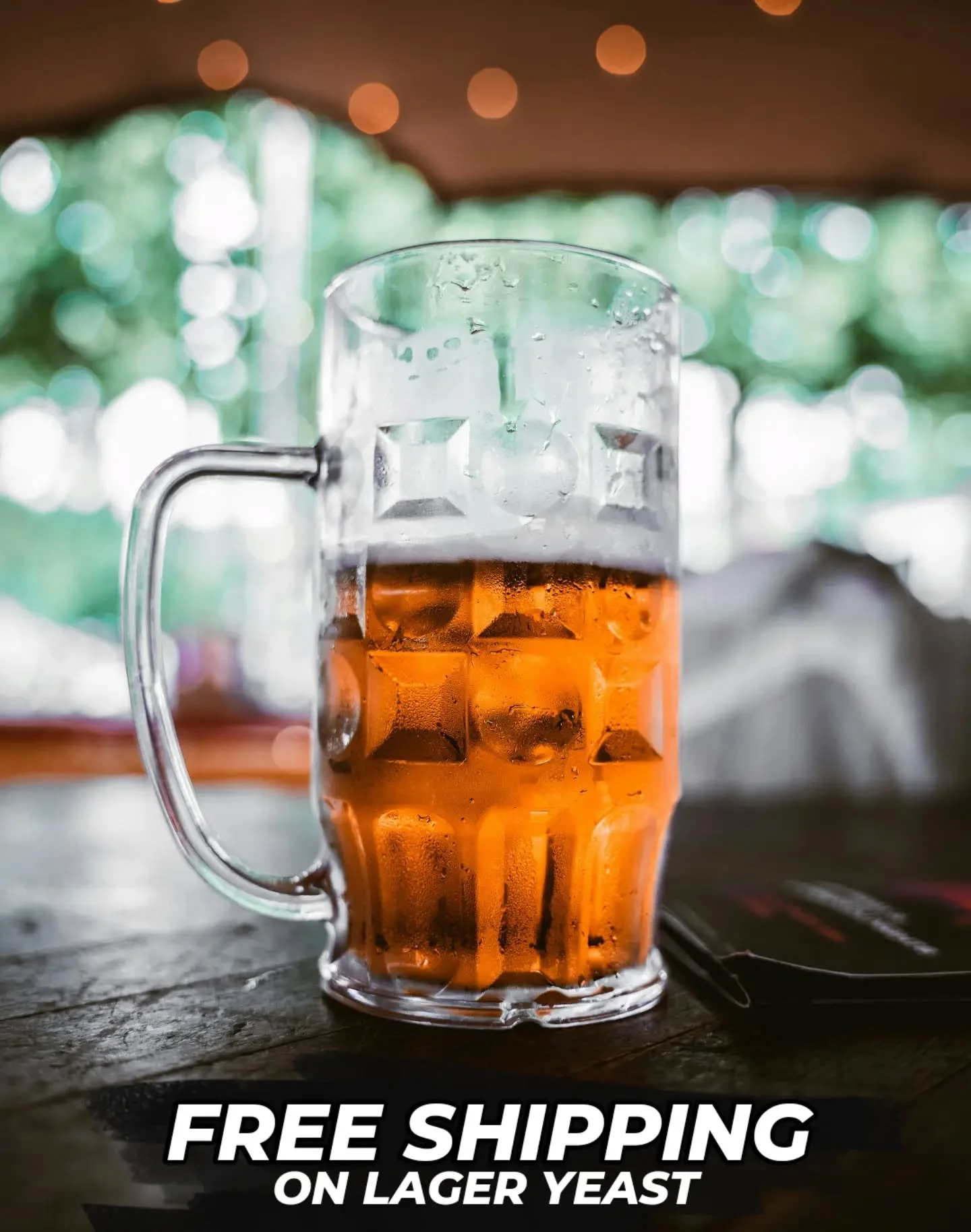 FESTBIER season is soon&nbsp;approaching and we've got a deal to make your life easier at the brewery. Now is the time to start brewing your festive lagers to make the most of an extended lagering &amp; conditioning time ready for Festbier season kic
