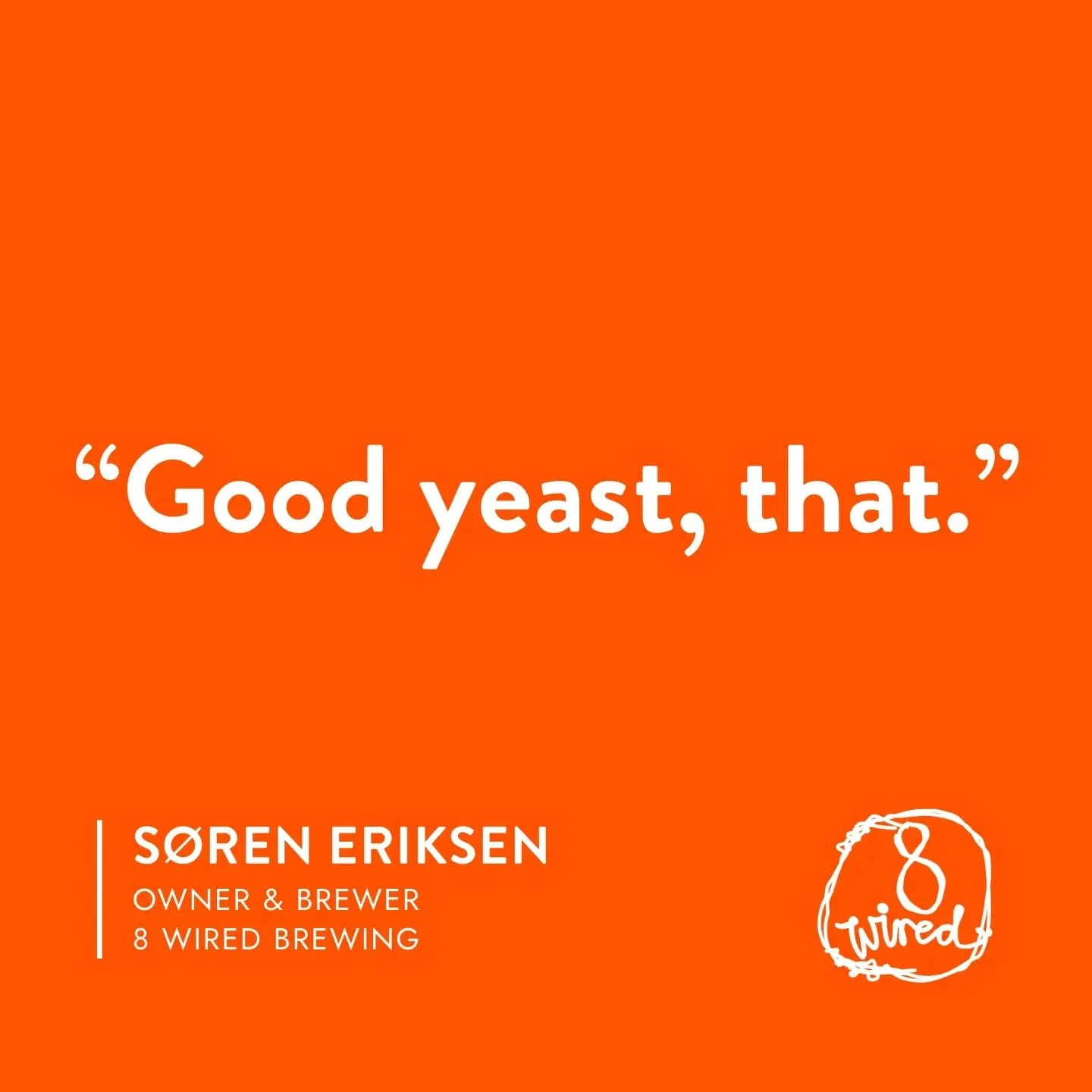 It's always awesome to see our yeast out there doing the business, and even better when it ends up in beers getting recognised like this.

A huge CONGRATS to the 8 Wired team on making the&nbsp;2026 New World Top 25&nbsp;with&nbsp;Pinnacle NZ Pilsner
