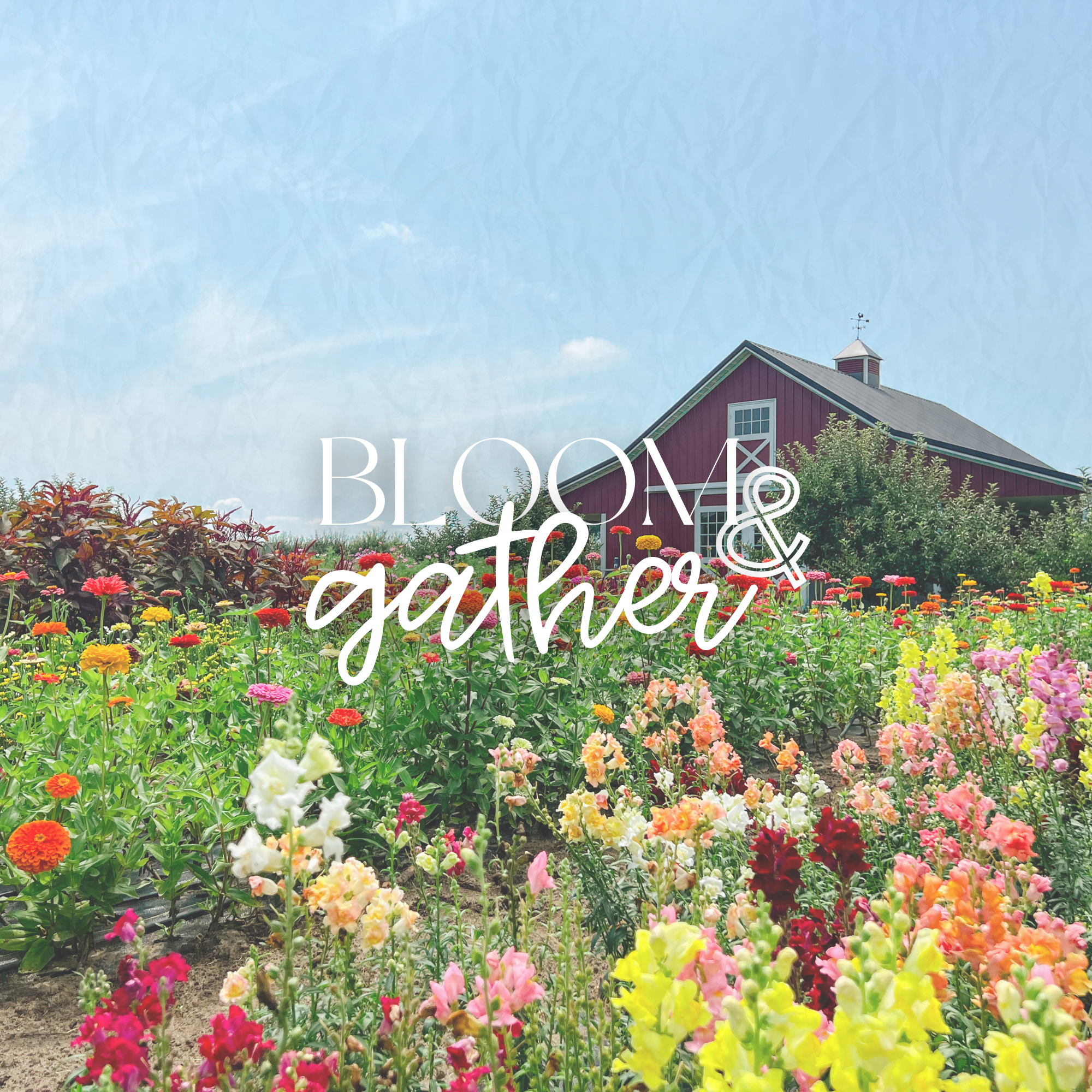 Flower Workshop Social Posts.png