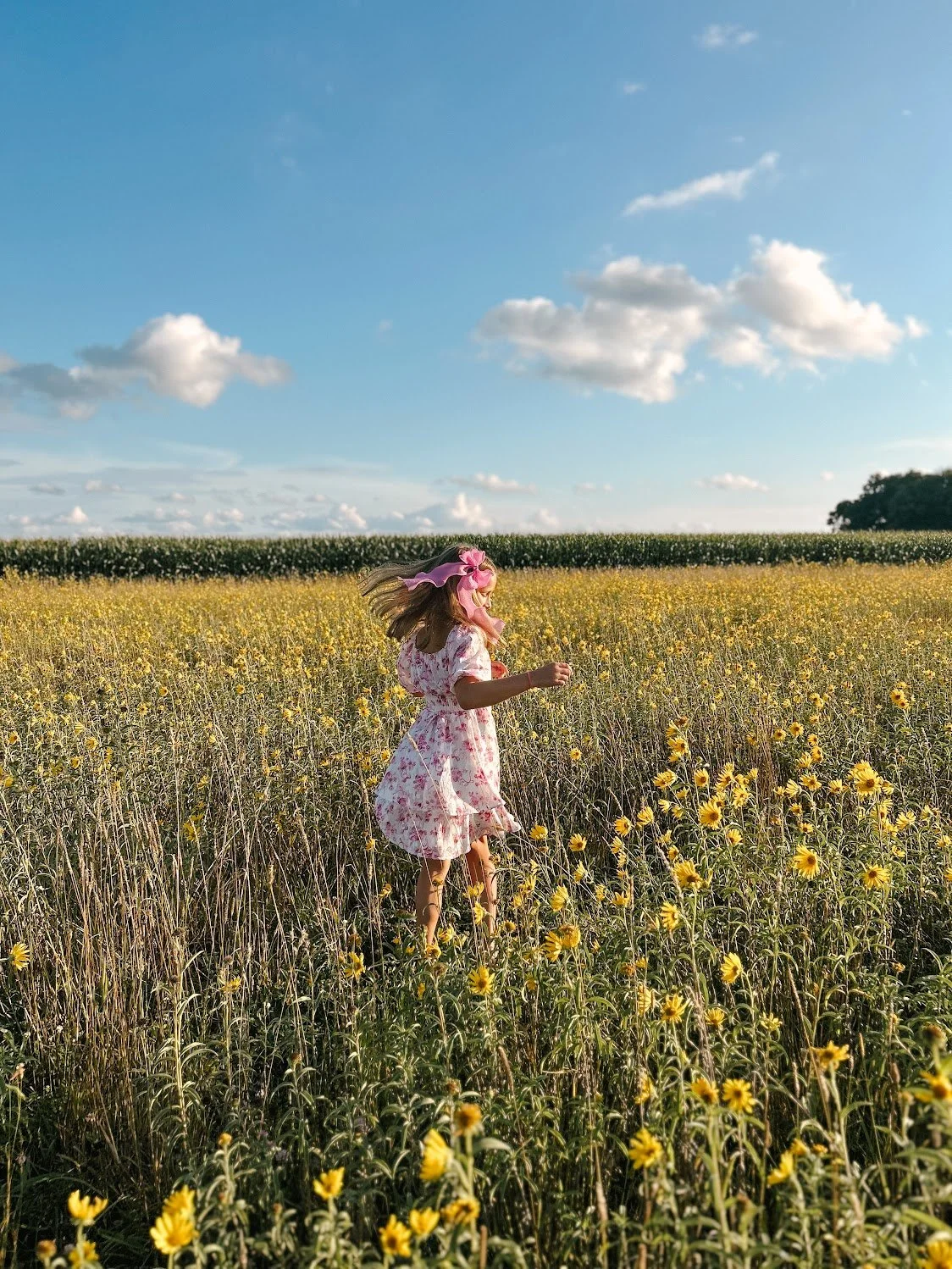 Sunflower Trail 01.jpg