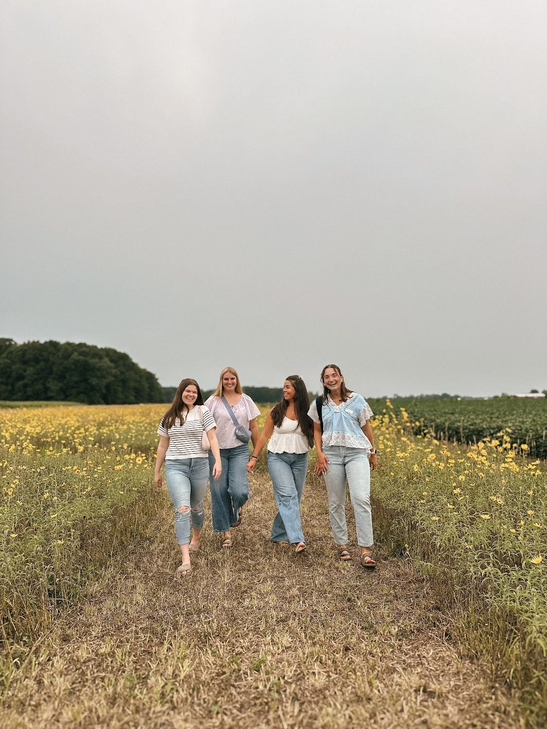Sunflower Trail 08.jpeg