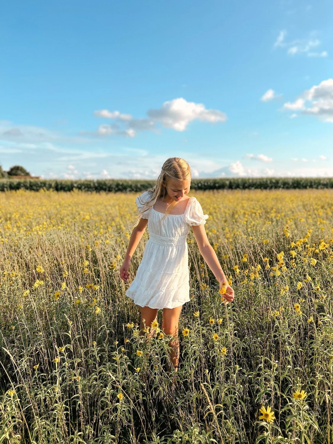 Sunflower Trail 02.jpg