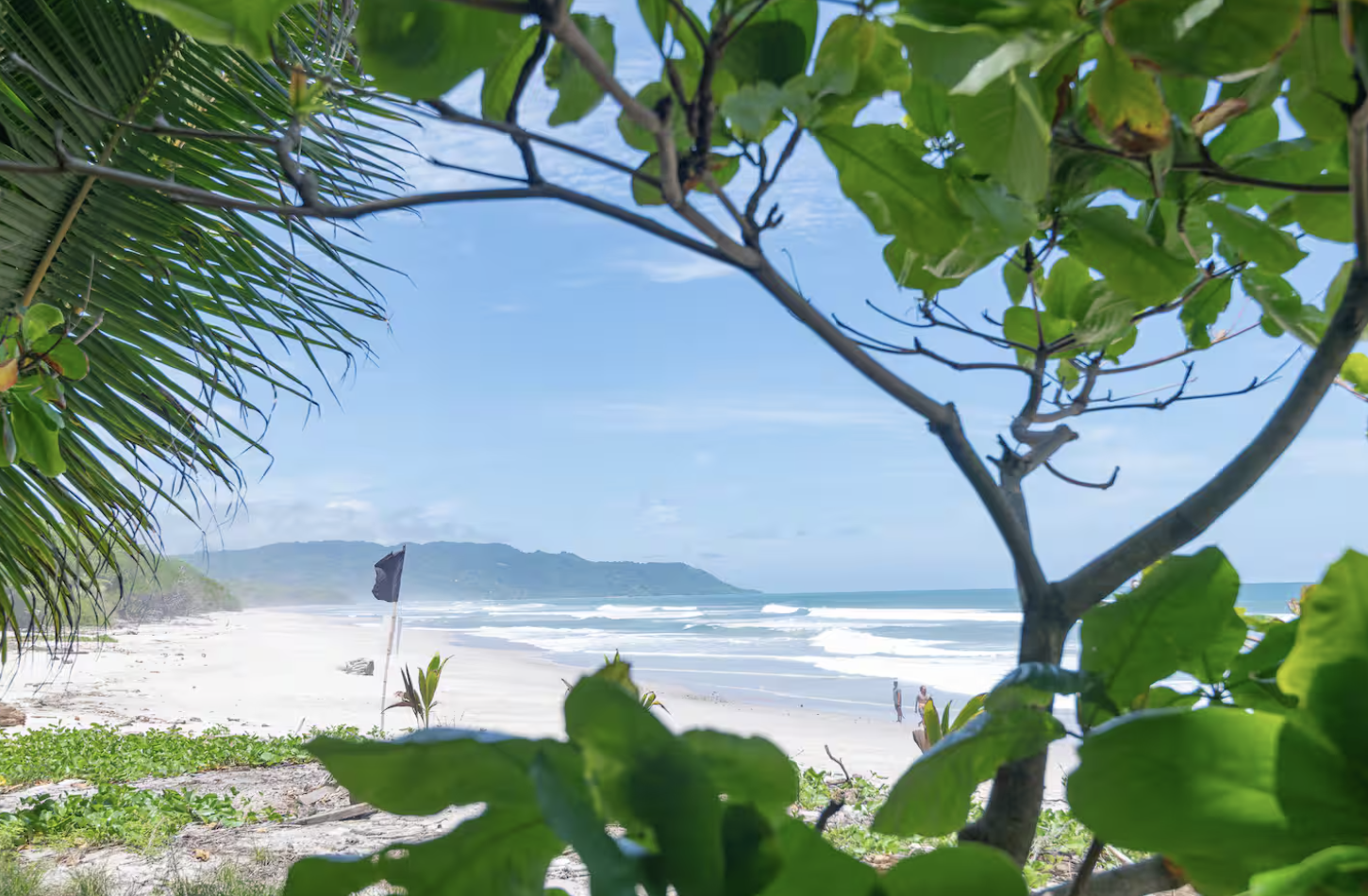 Screenshot 2026-04-11 at 3.04.22 PM.png