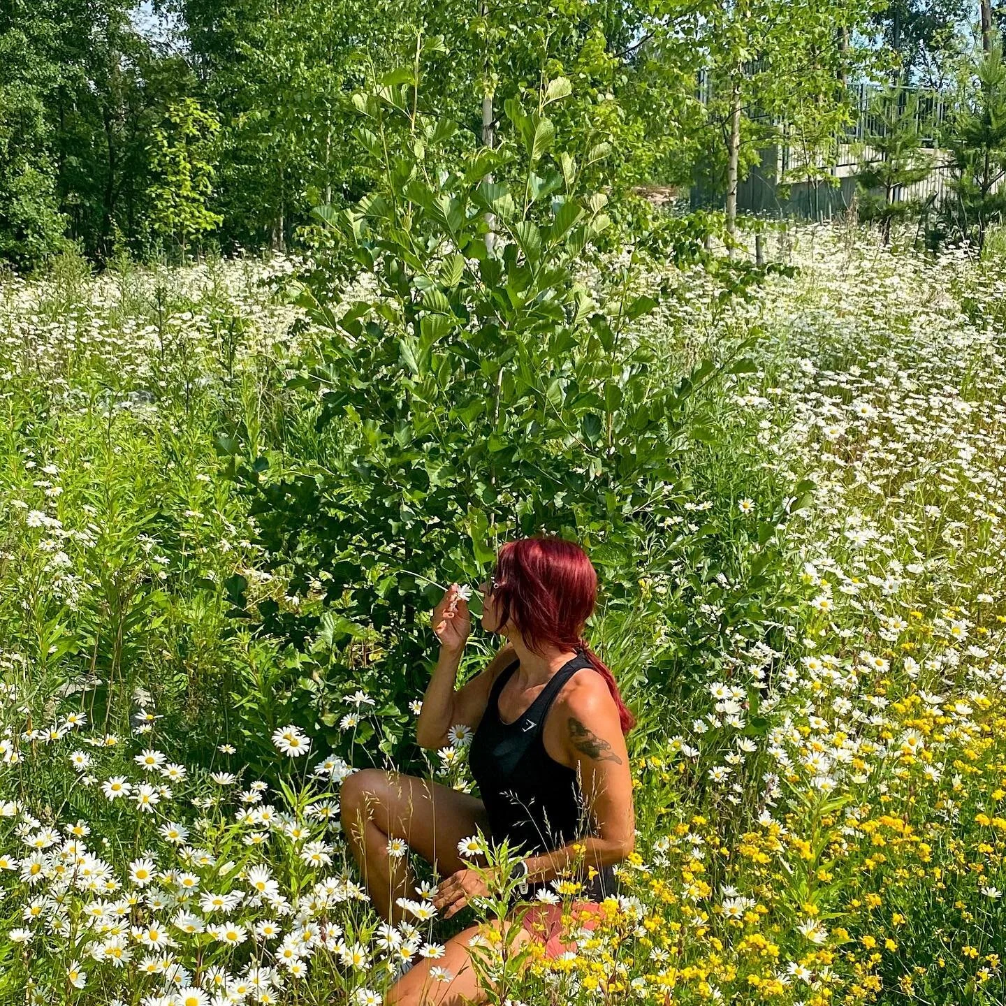 Lomalle lomps 🌞 Loman tavoitteena se perus laiturilla makoilu, mutta ajatukset my&ouml;s tulevassa. Erityispanos ammatillisessa inspiroitumisessa mentaalipuolen valmentamisen puolella ☺️

Ihanaa Juhannusta 🌺 #pysyk&auml;&auml;pinnalla #mindset #mot