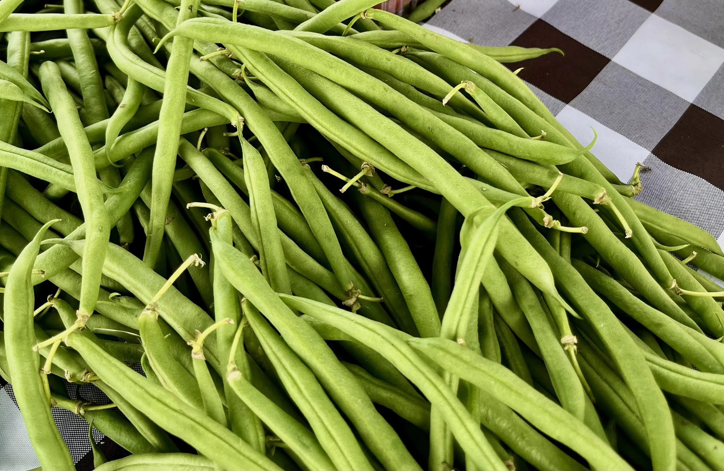 Green Beans - Half a bushel