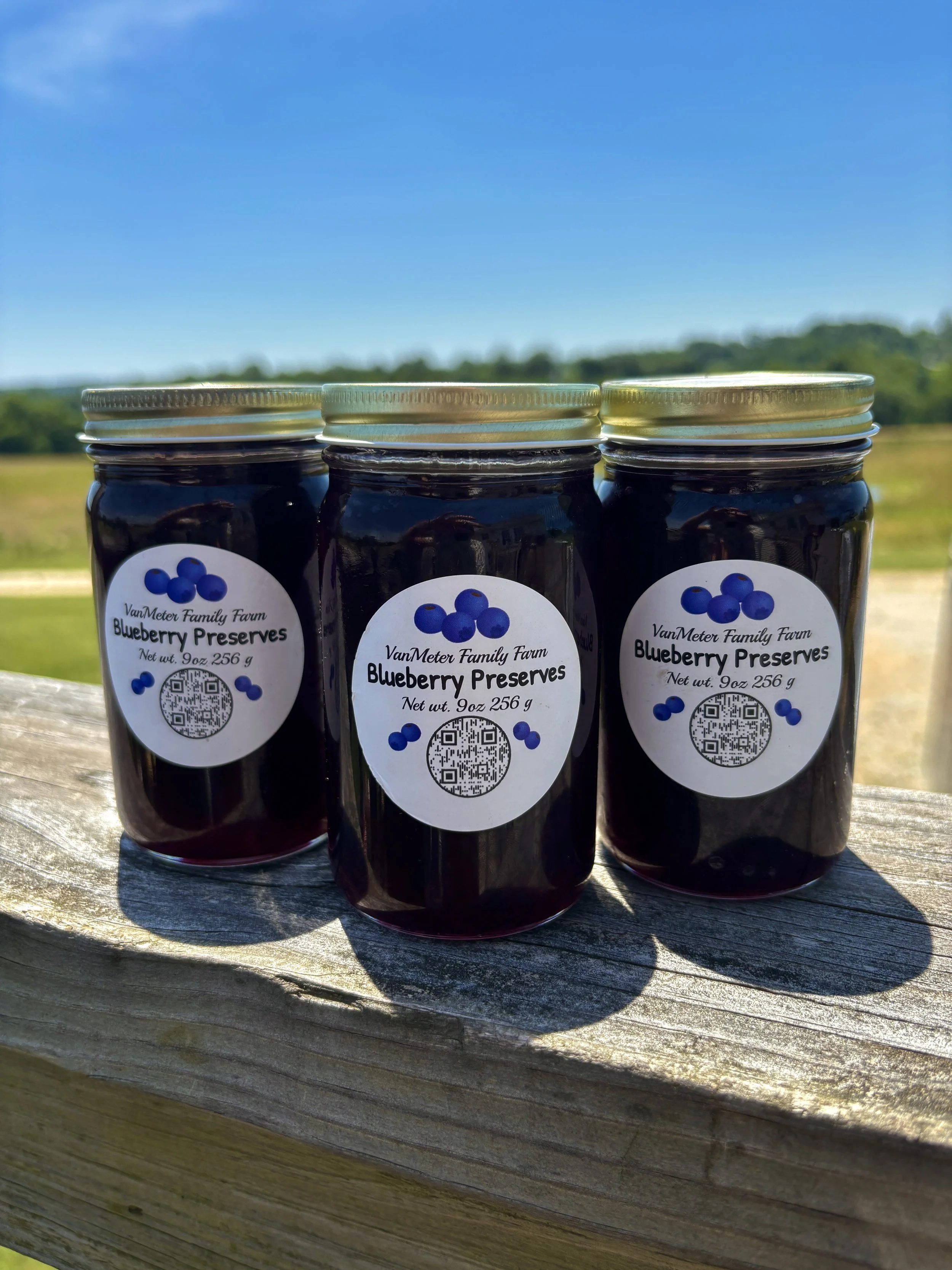 Blueberry Jam