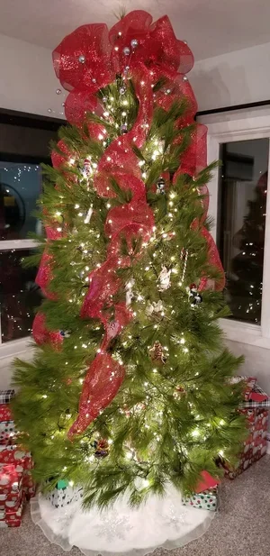 christmas trees 2025.webp 2.webp