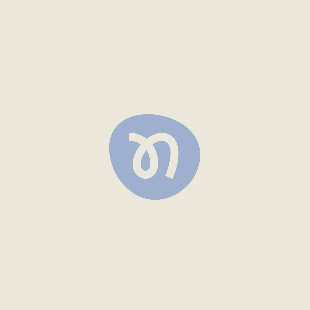 NOVA_Logo export-06.png