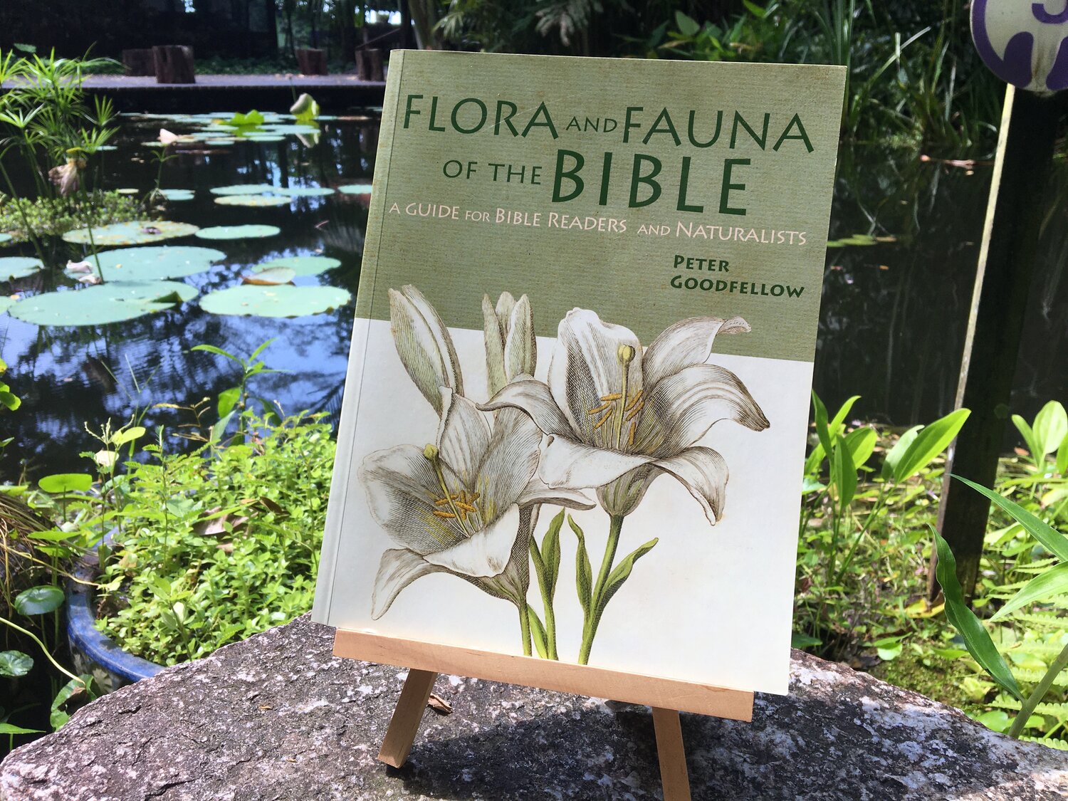 Flora & Fauna Of The Bible: A Guide For Bible Readers And Naturalists —  Tropical Spice Garden