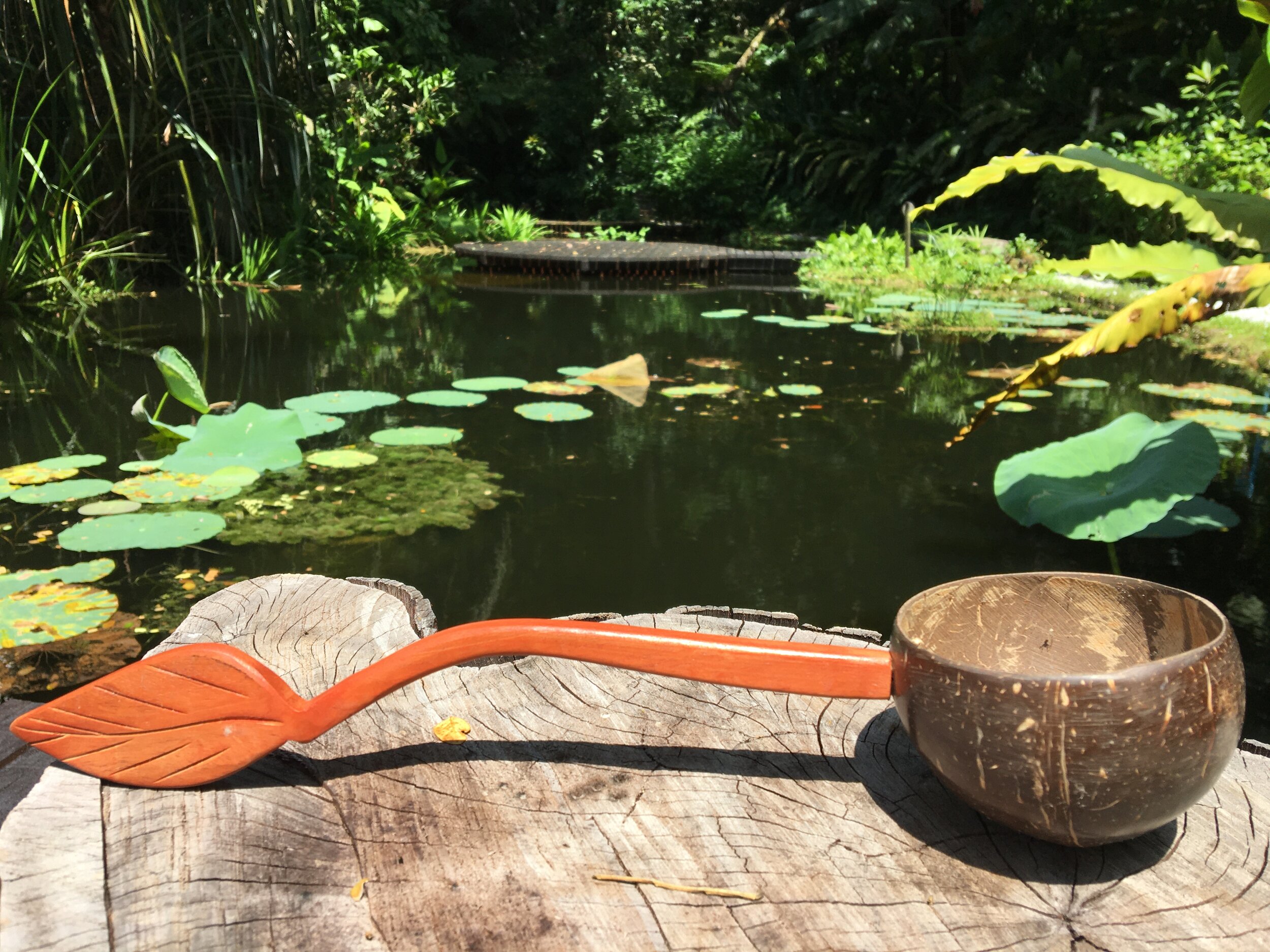 coconut-bowl-ladle-tropical-spice-garden