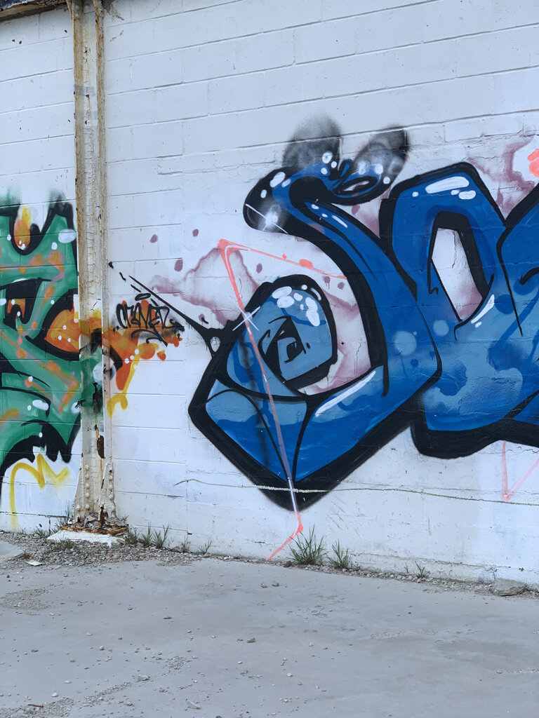 0B85A773-2C2F-4B64-B9AB-2B88EA5AD5FA_1_105_c.jpeg