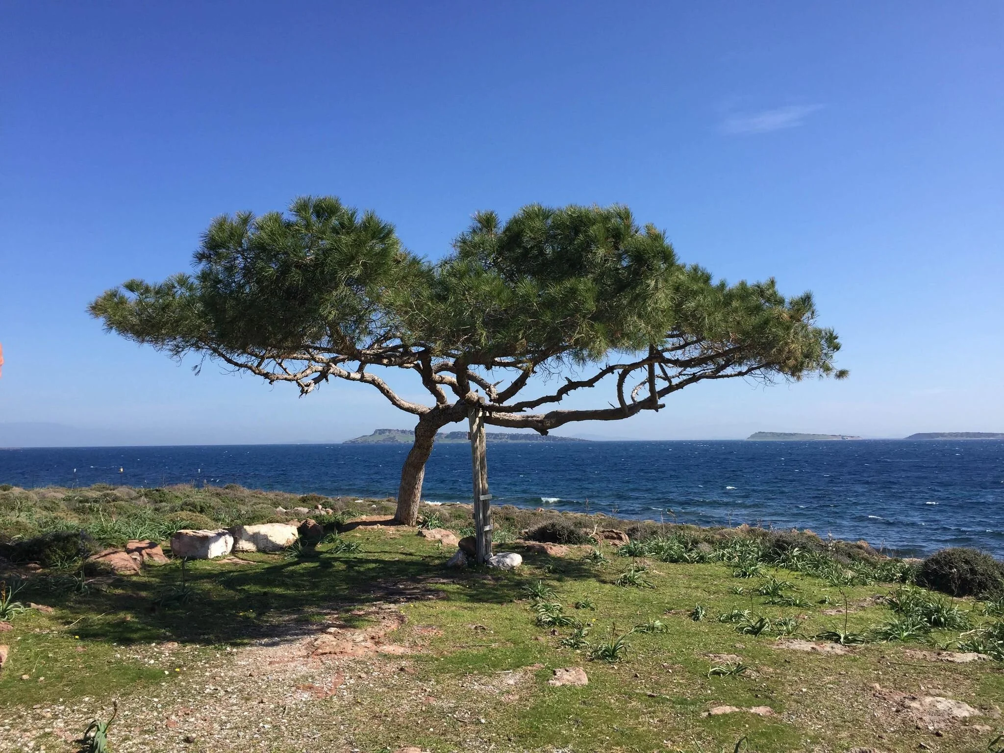 Some places tell such stories - Lesvos is full of them