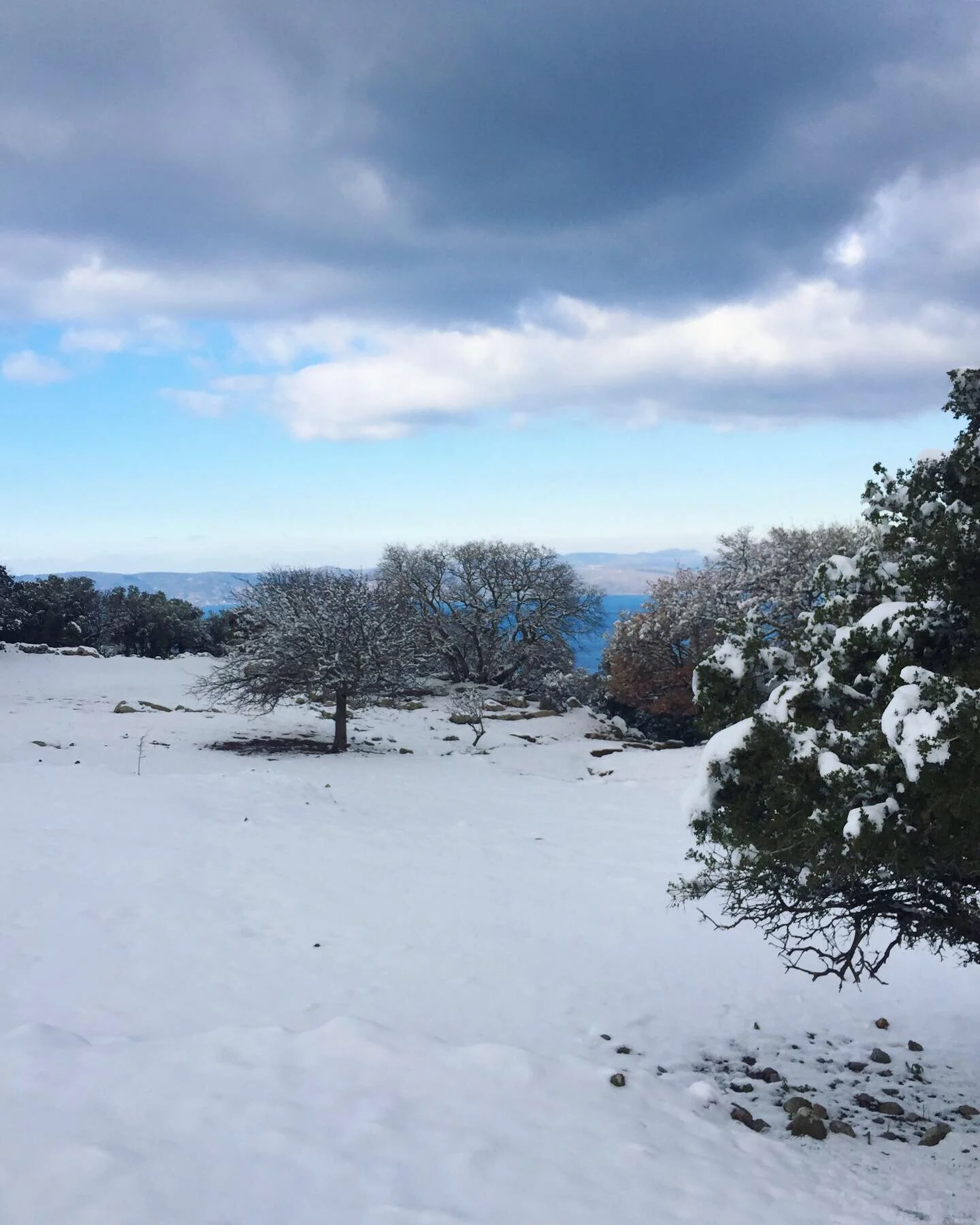 Snowing winter wonderland on Lesvos