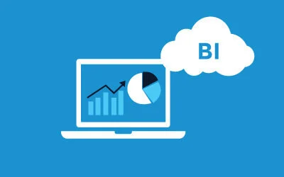 Business Intelligence in ERP: More Than Hype, More than Dashboards