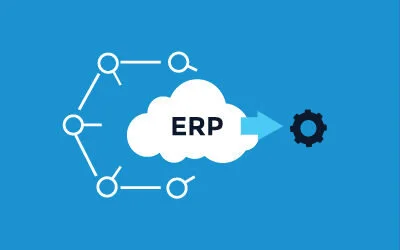 How To Understand Options in a Postmodern ERP World