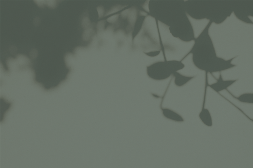 Woodlea House Day Nursery & PreSchool, Bournemouth