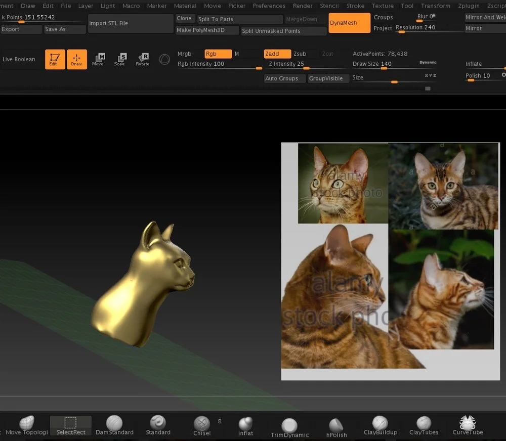 These preliminary images were random Bengal images just to start things moving - 20+ images of the real Azi came later!