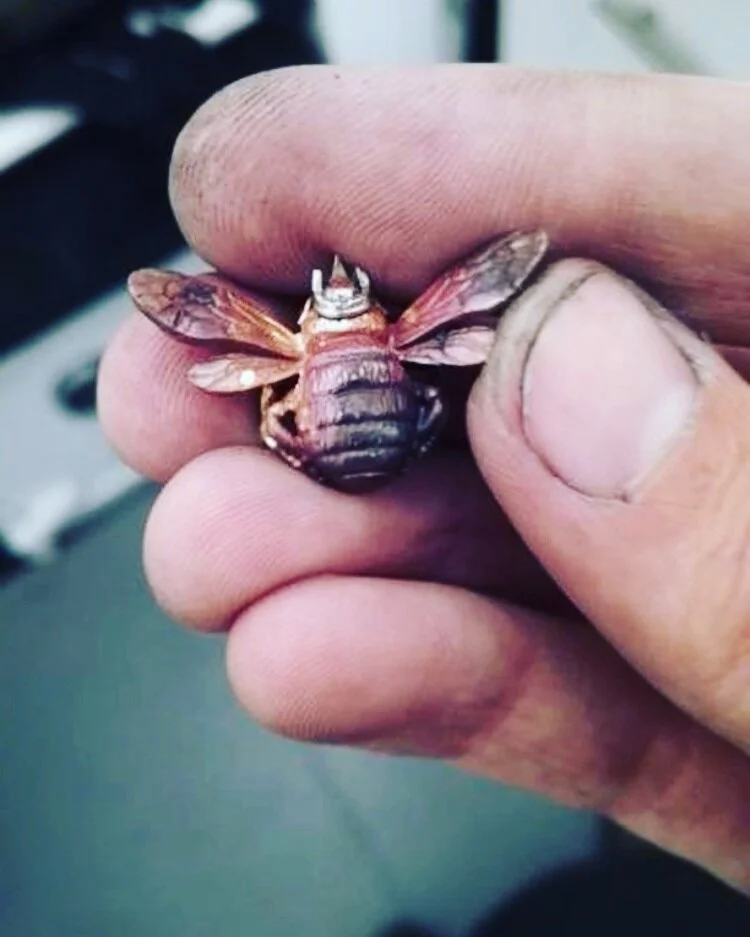  Our bees are finished by hand in our Chichester workshops. This one is just having a crown soldered on it’s head. 