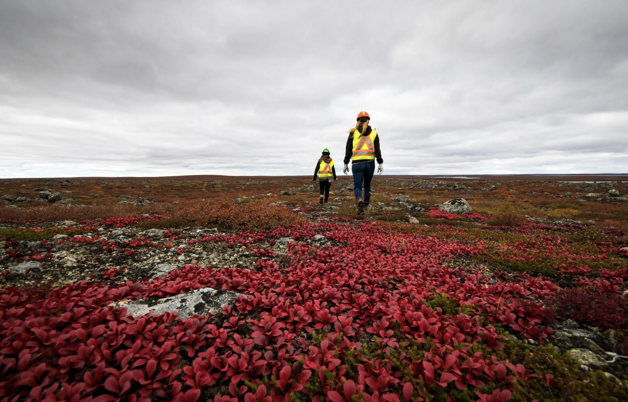   Environmental work around the mine photo courtesy of Burgundy Diamond Mines   