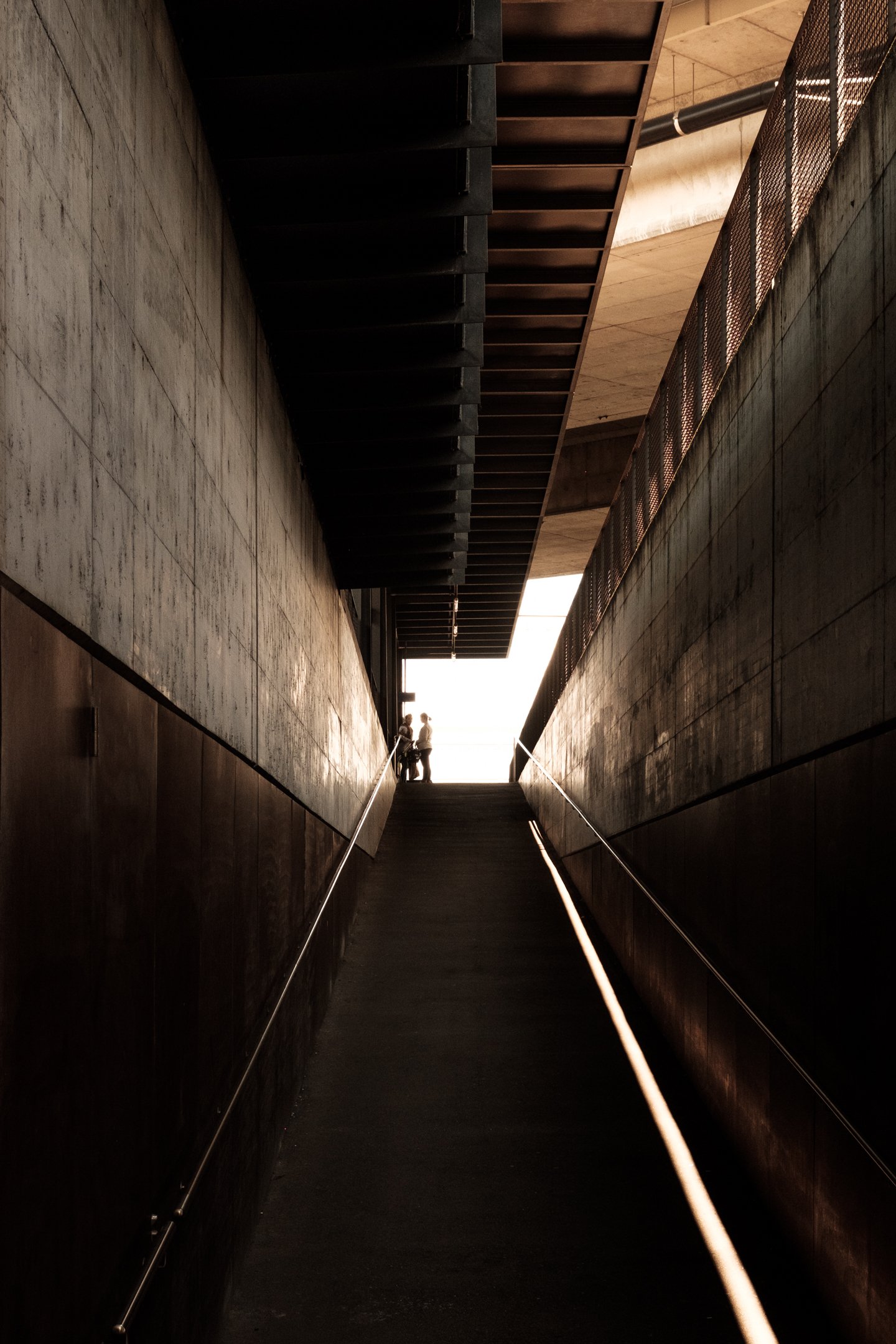 IntoTheWest