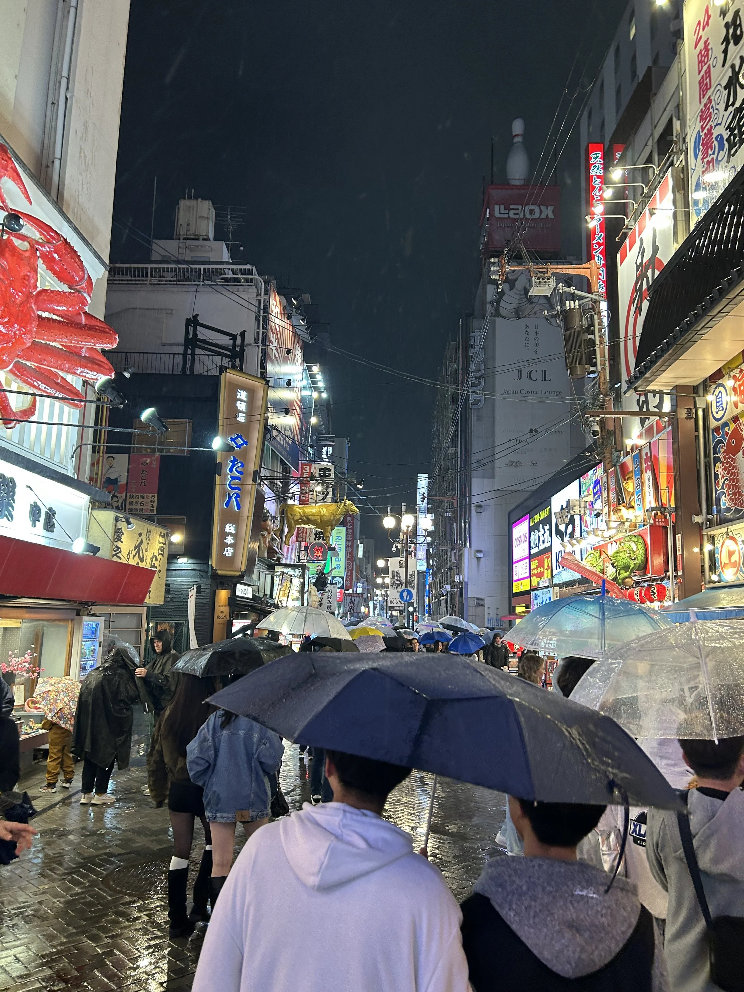IMG_4040.jpeg