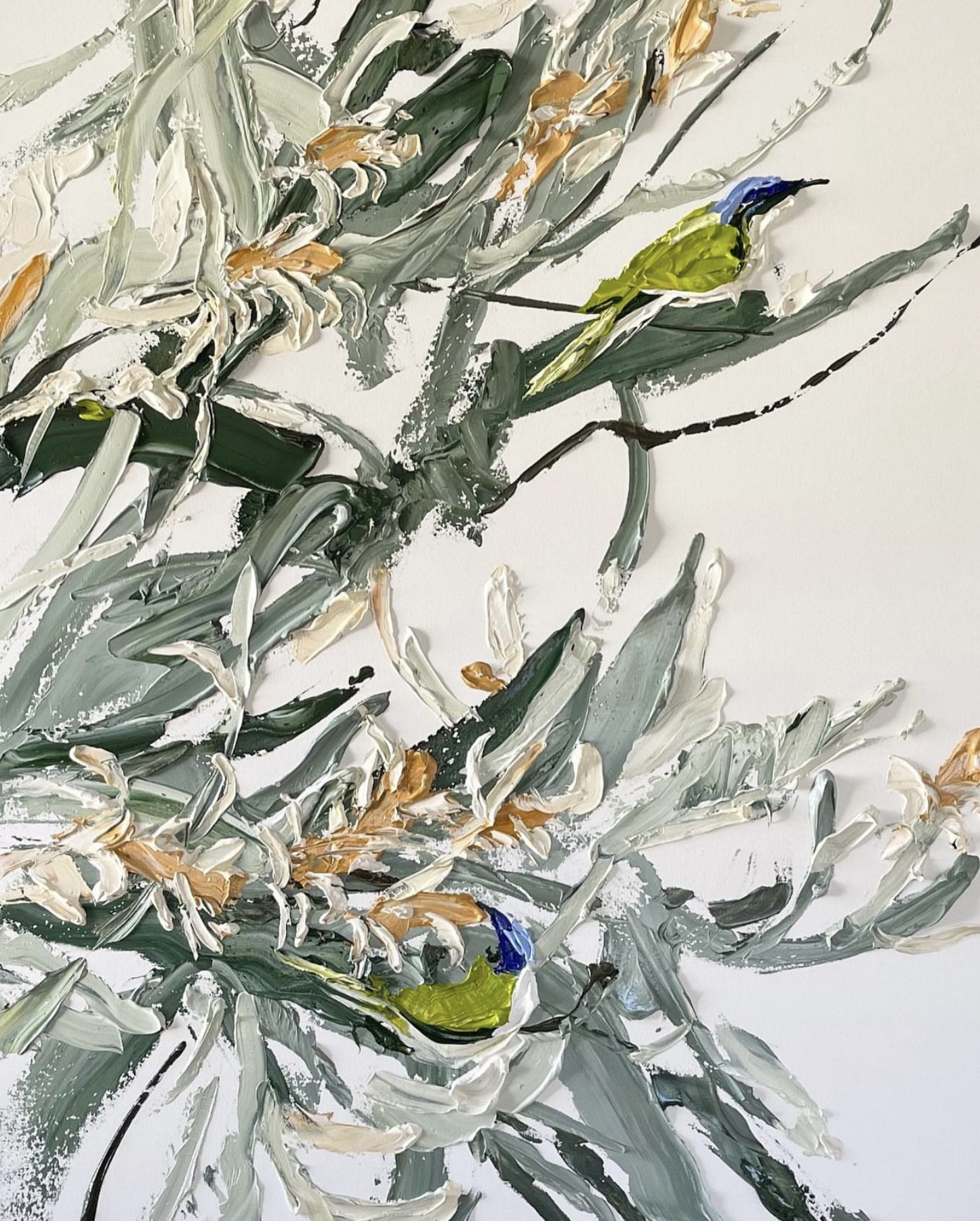 AVAILABLE - ‘The Honeyeaters’
121 x 91cm acrylic on canvas
available via PaperPear Gallery. Contact Steph 0429301631 for enquires