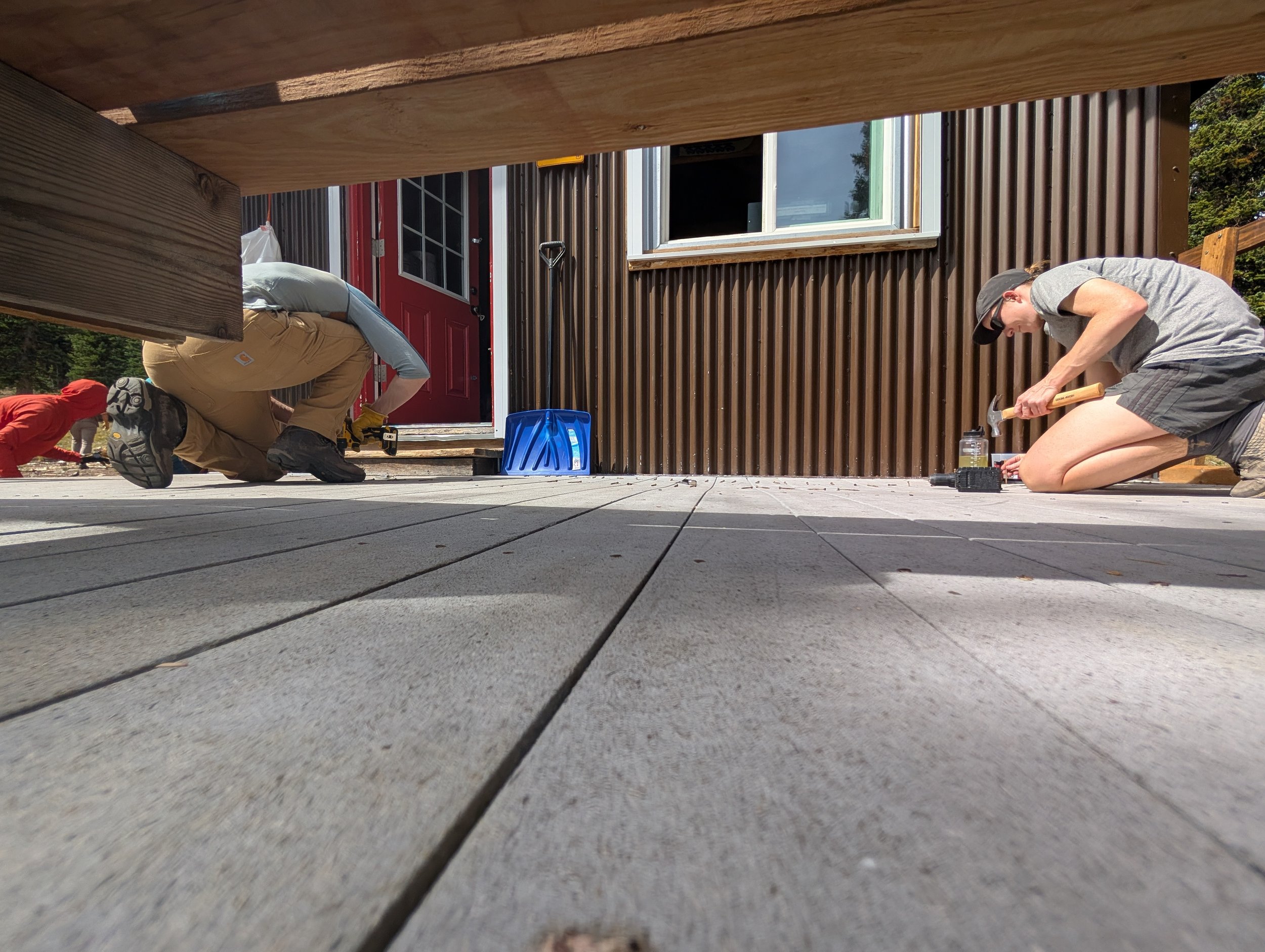 Deck screws.jpg