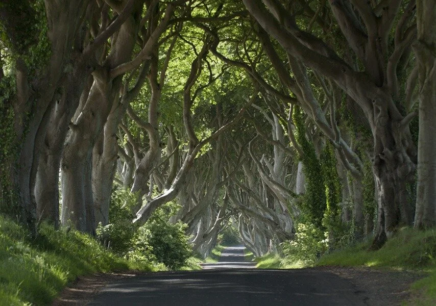 The Irish Project: Something Completely Different