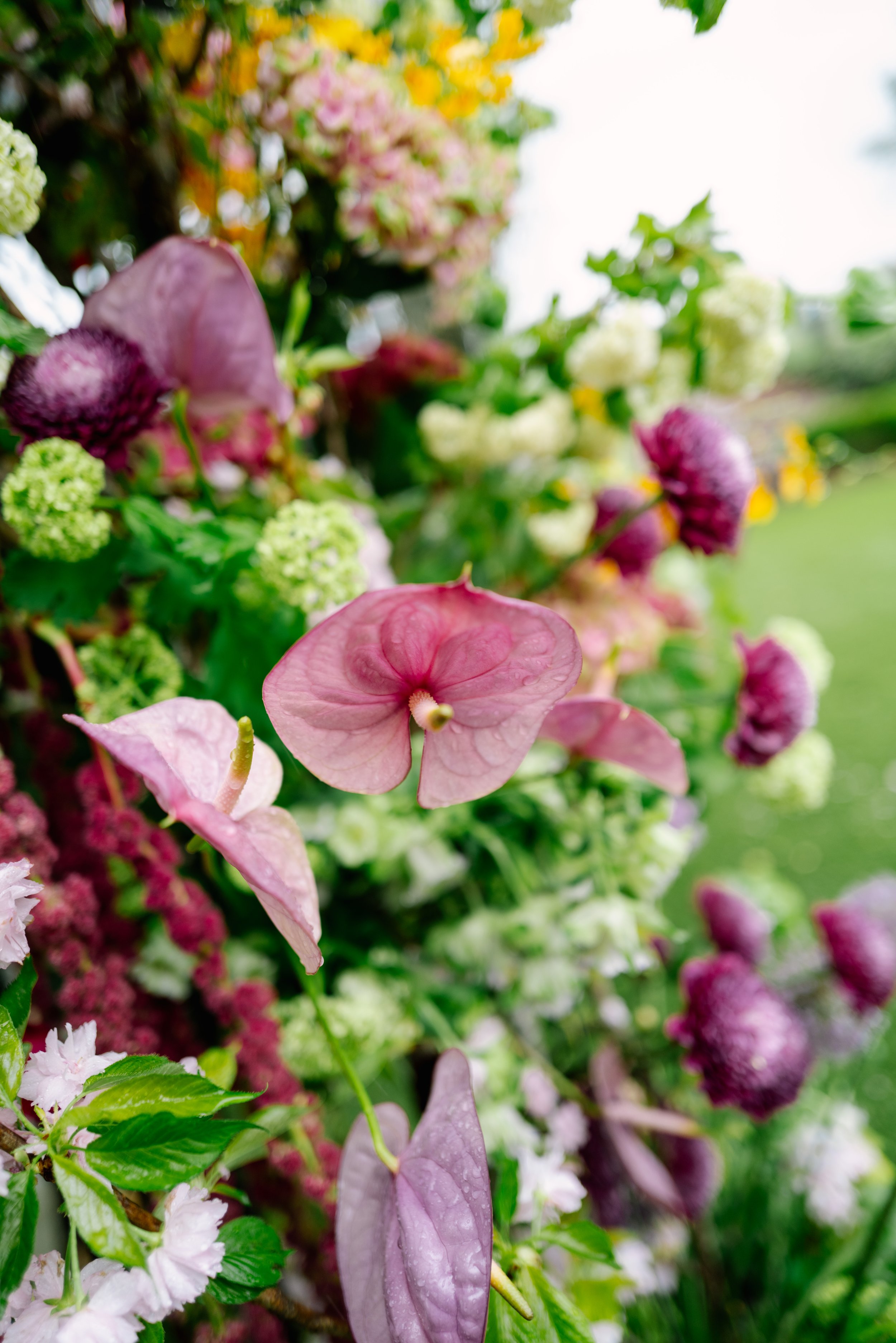 S&amp_J_WeddingPreviews-91.jpg
